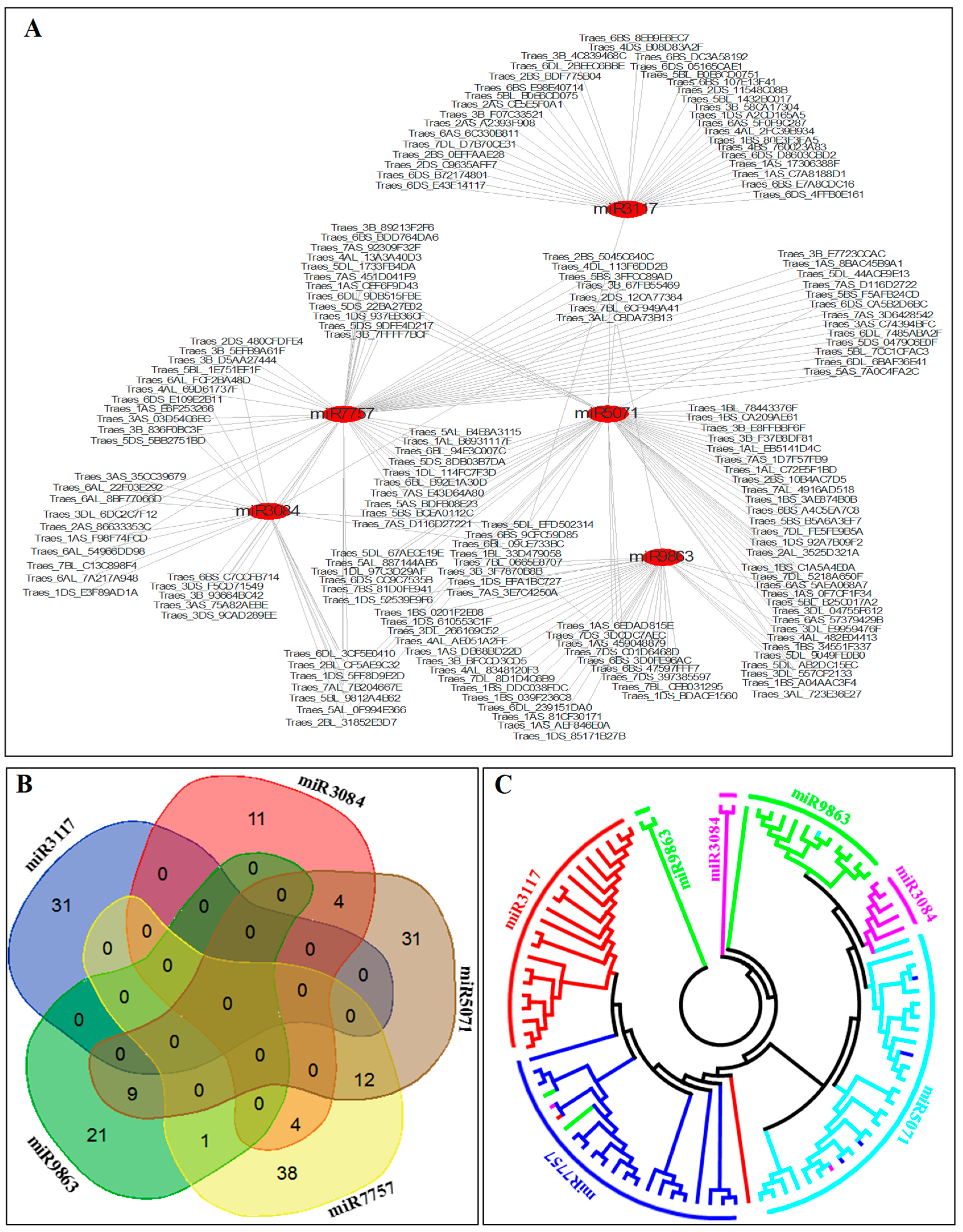 Ijms 20 03128 g007 Ijms 20 03128 g007