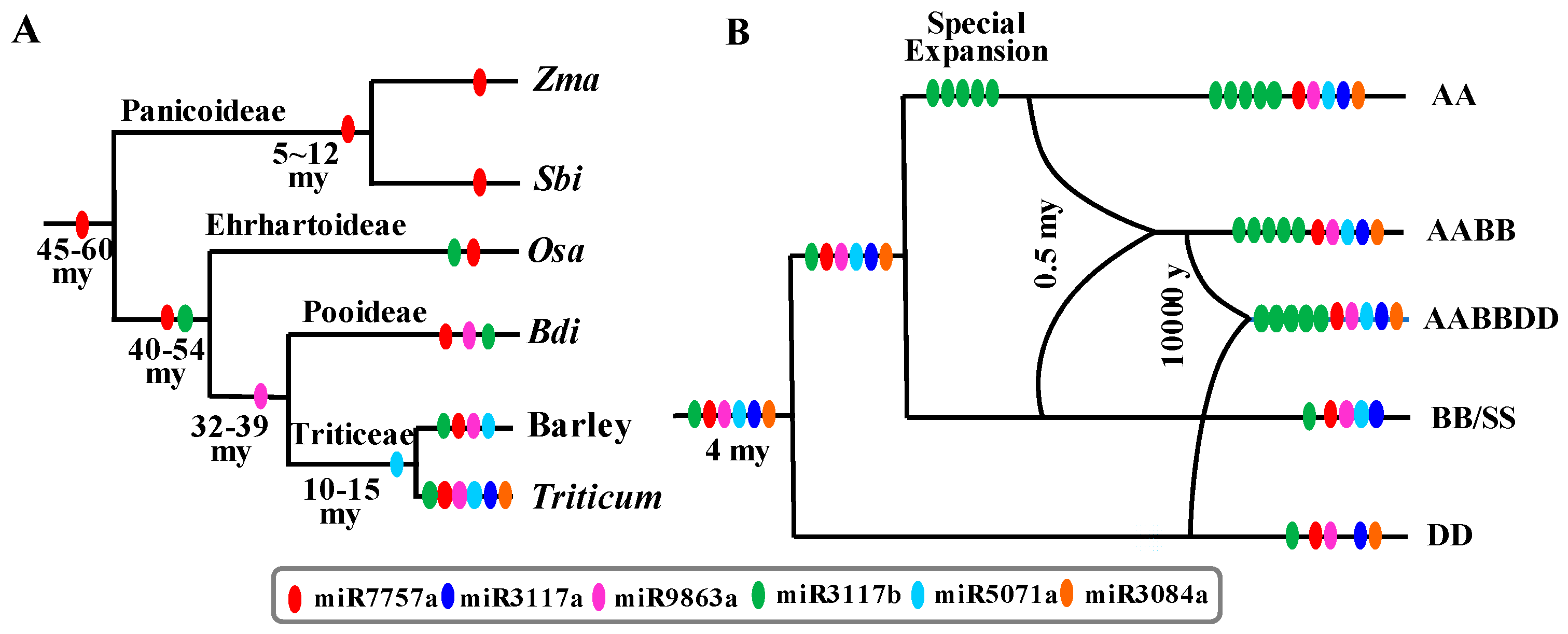 Ijms 20 03128 g008 Ijms 20 03128 g008