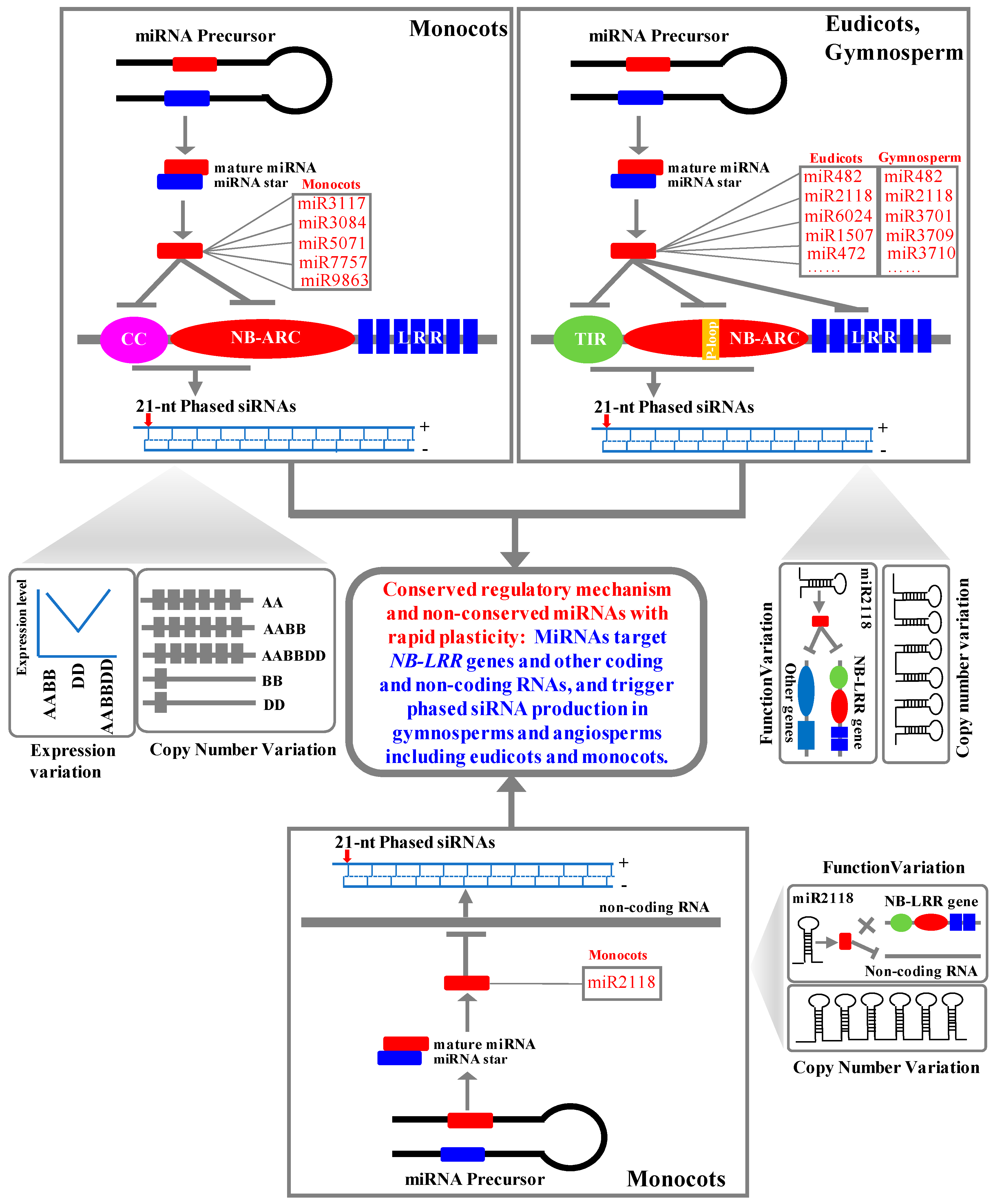 Ijms 20 03128 g009 Ijms 20 03128 g009