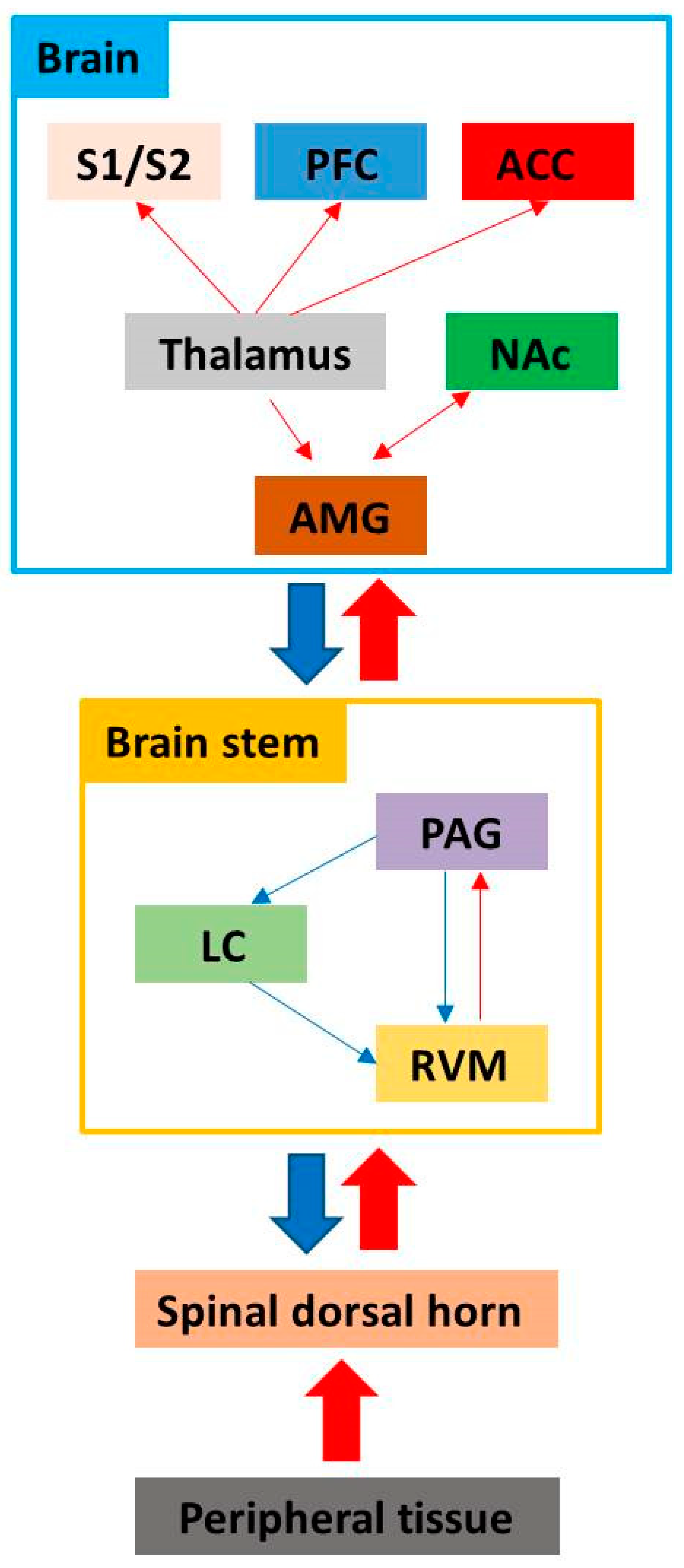 Ijms 20 03130 g001