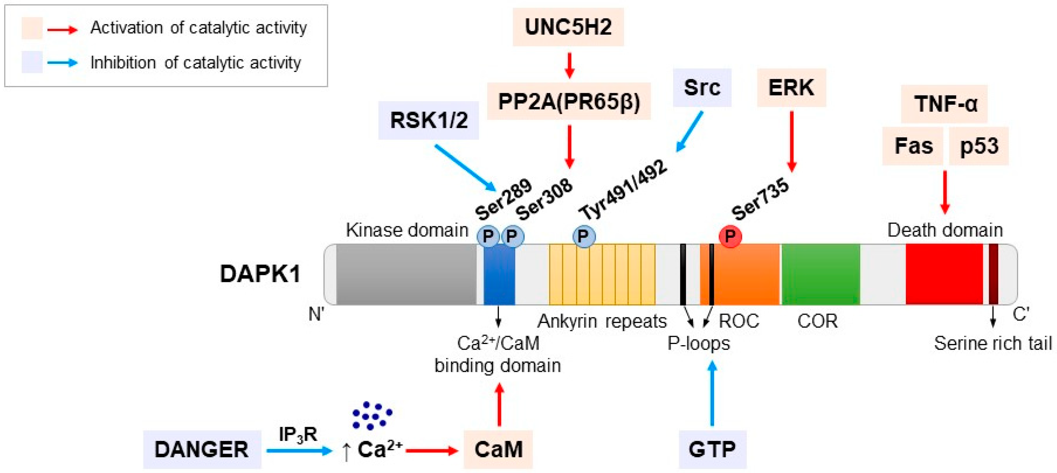 Ijms 20 03131 g001 Ijms 20 03131 g001
