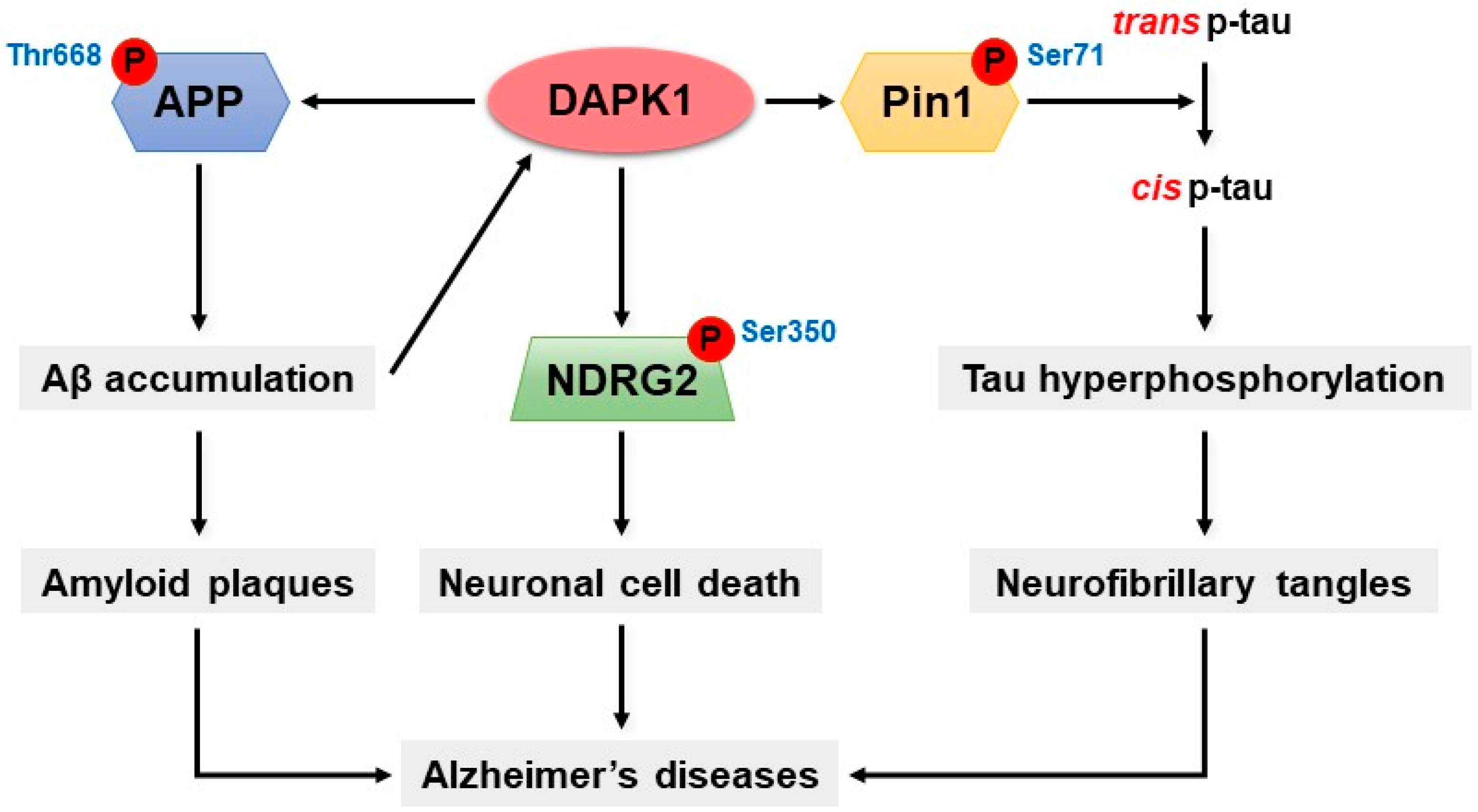 Ijms 20 03131 g003 Ijms 20 03131 g003