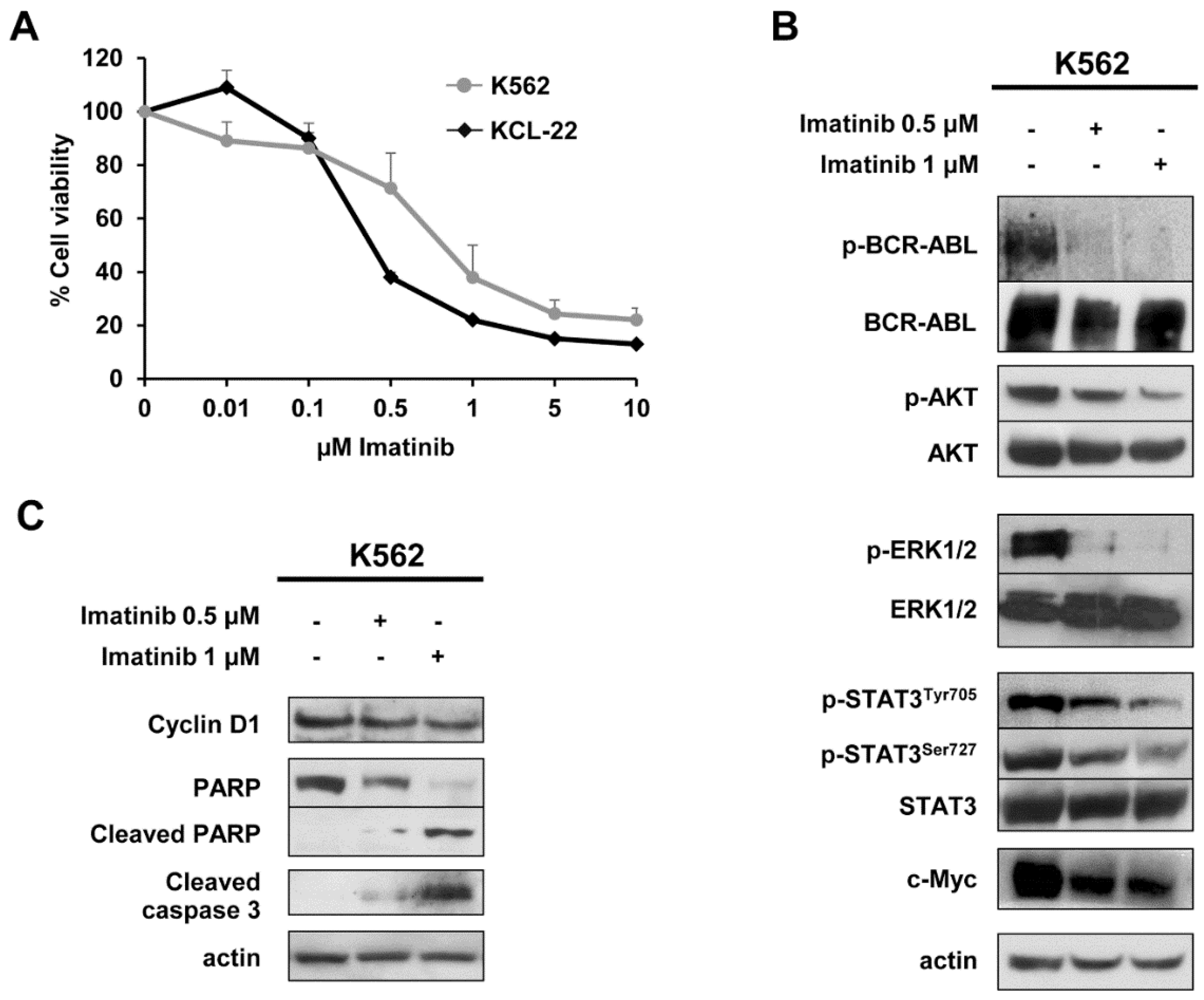 Ijms 20 03134 g001