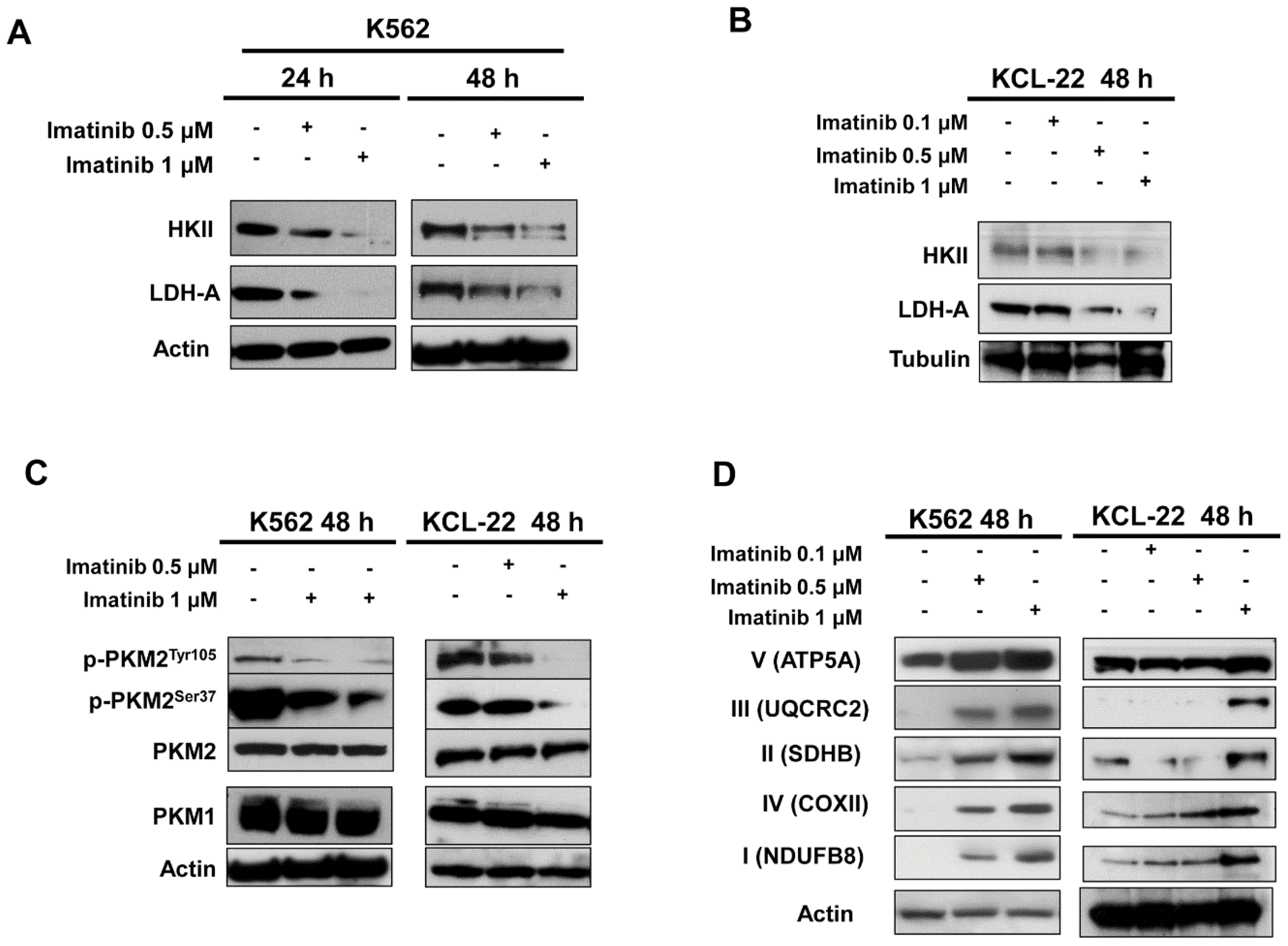 Ijms 20 03134 g002