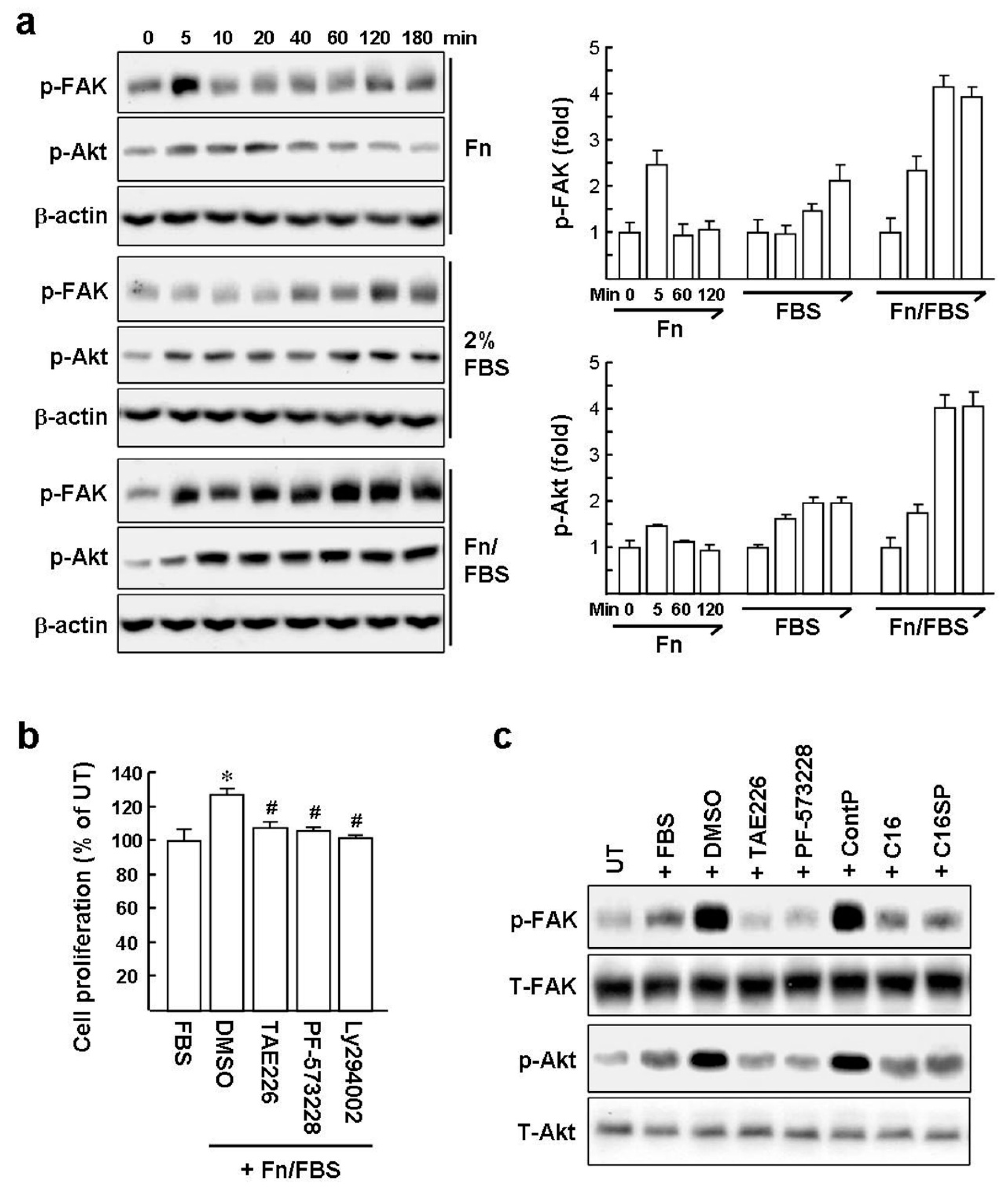Ijms 20 03144 g002 Ijms 20 03144 g002