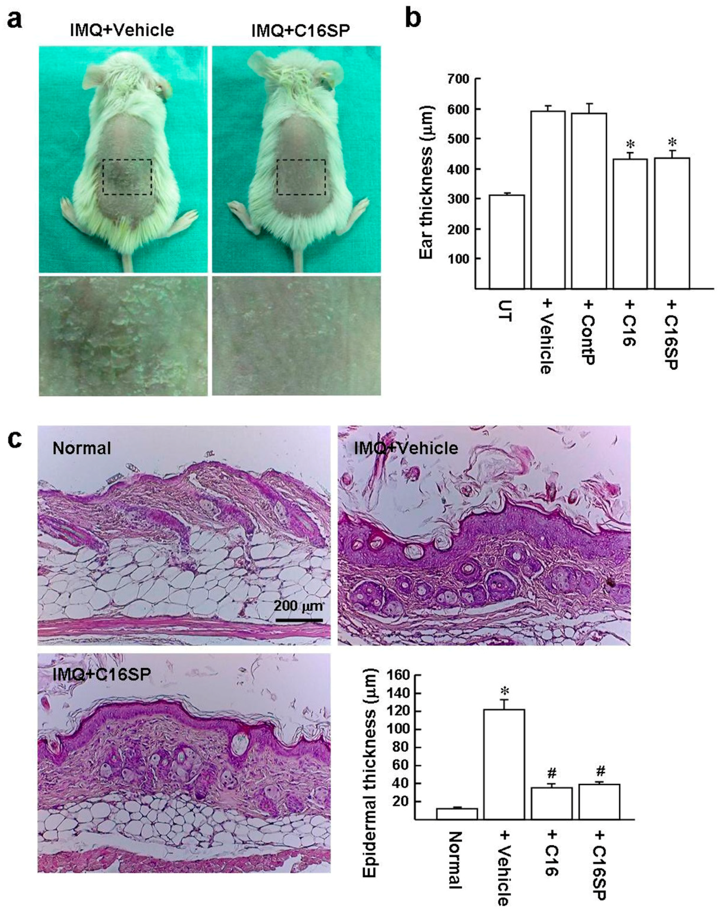Ijms 20 03144 g004 Ijms 20 03144 g004