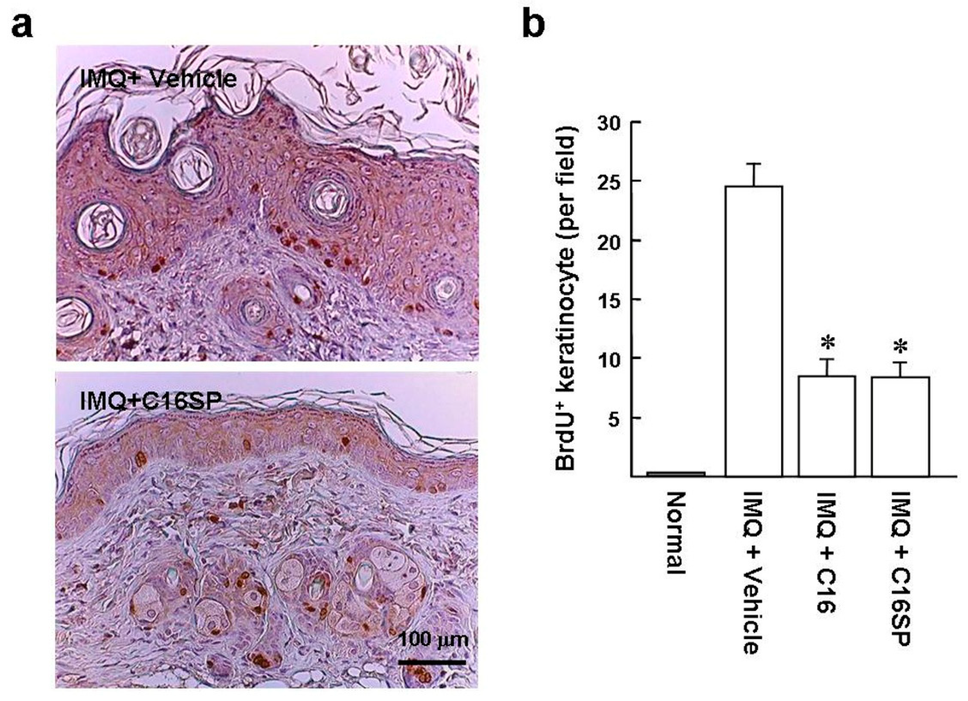 Ijms 20 03144 g005 Ijms 20 03144 g005