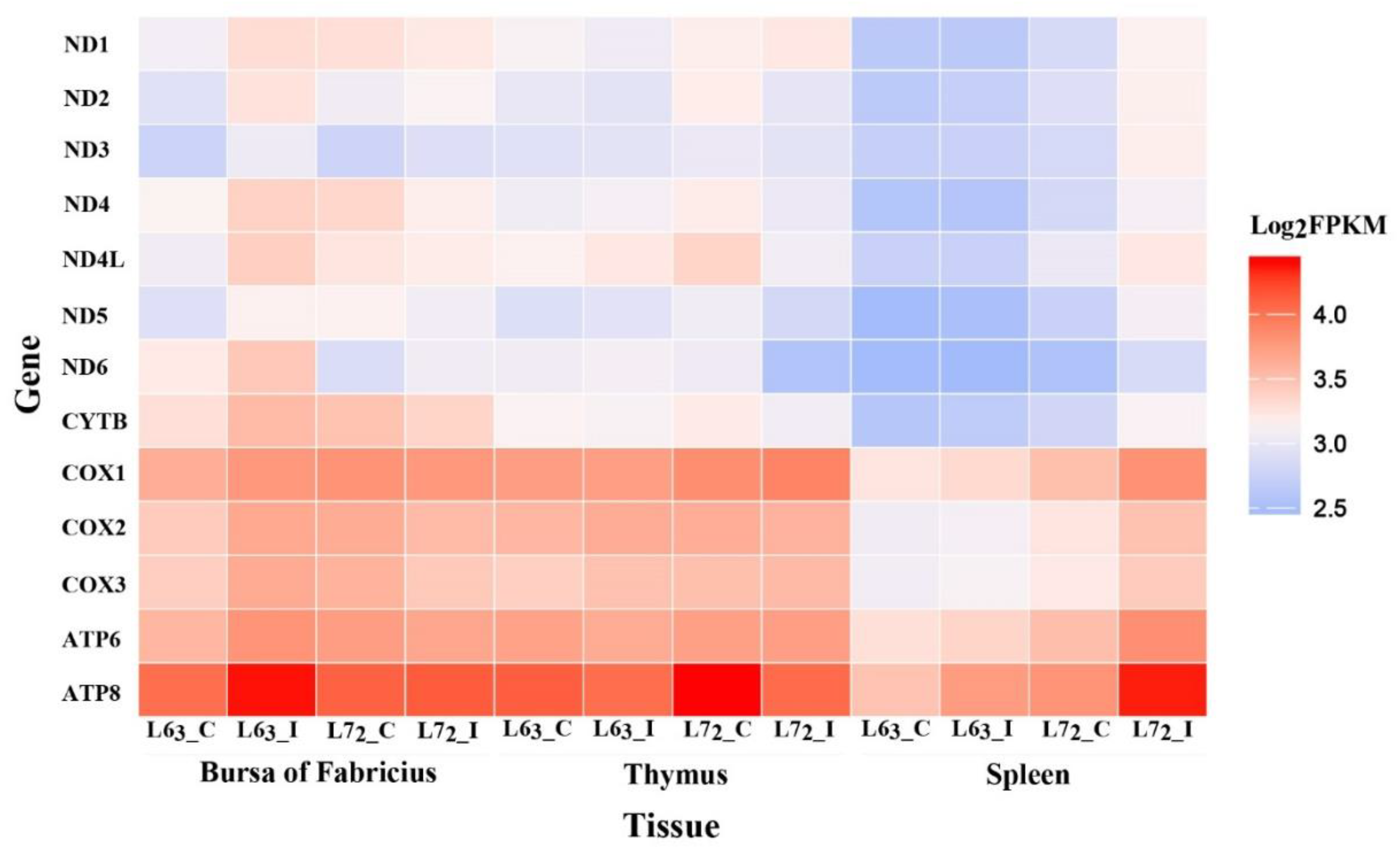 Ijms 20 03150 g002 Ijms 20 03150 g002