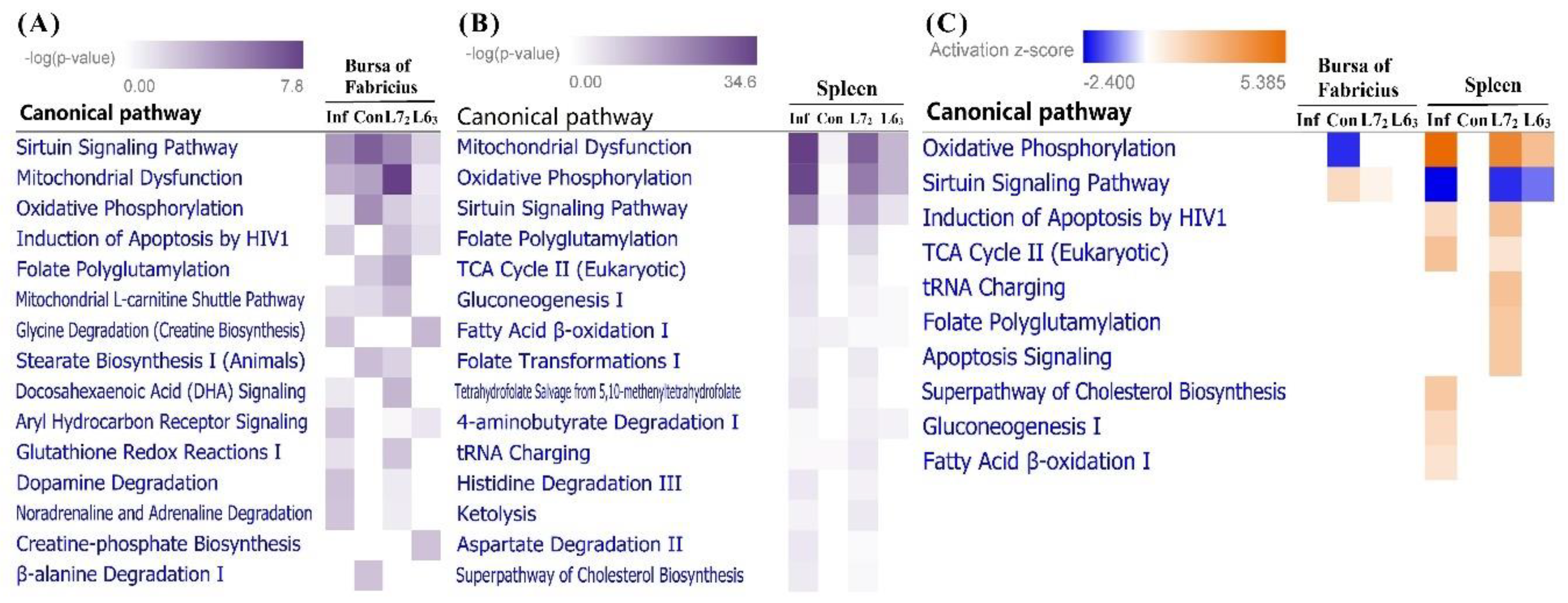 Ijms 20 03150 g005 Ijms 20 03150 g005