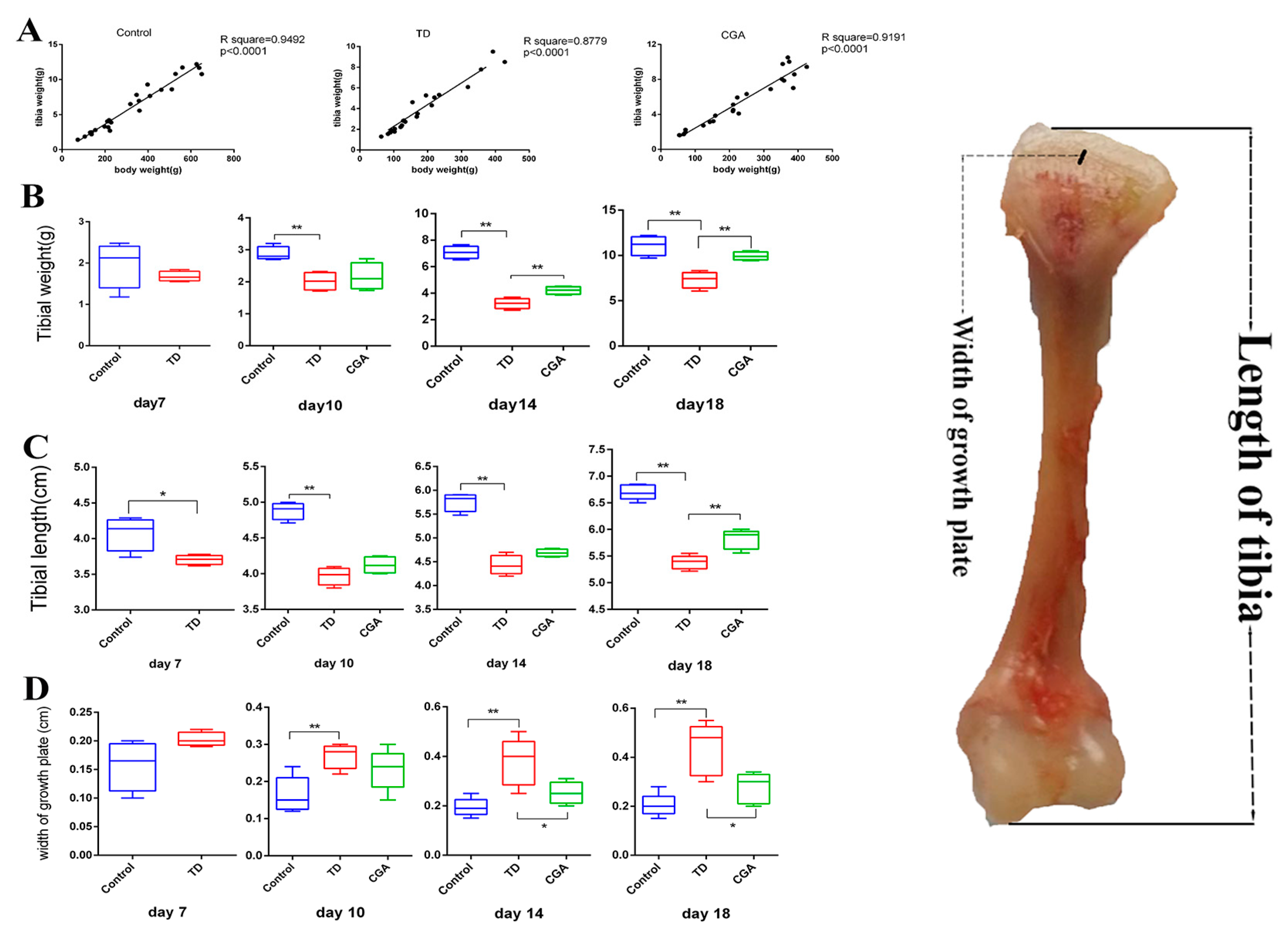 Ijms 20 03160 g003 Ijms 20 03160 g003