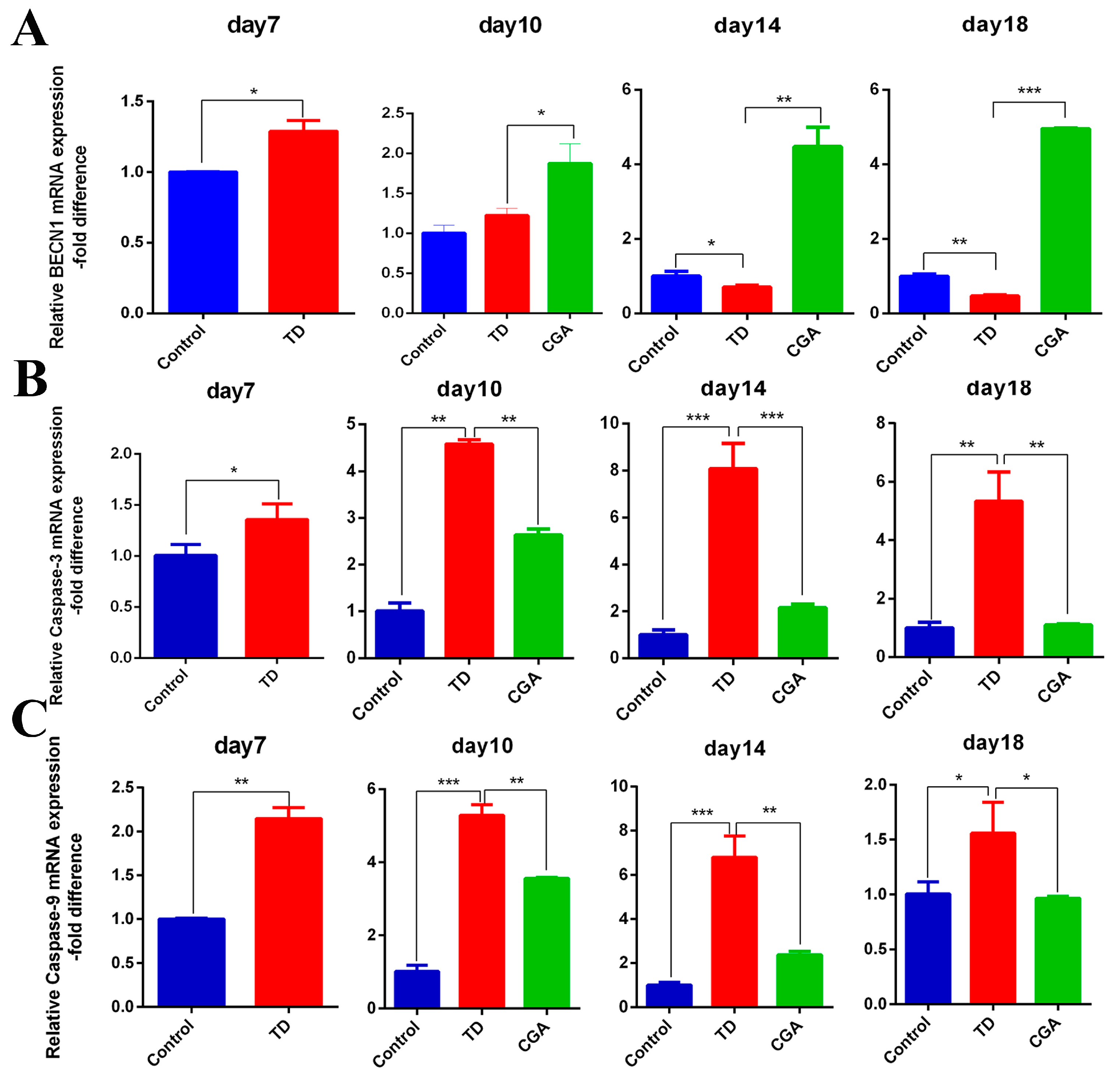 Ijms 20 03160 g006 Ijms 20 03160 g006