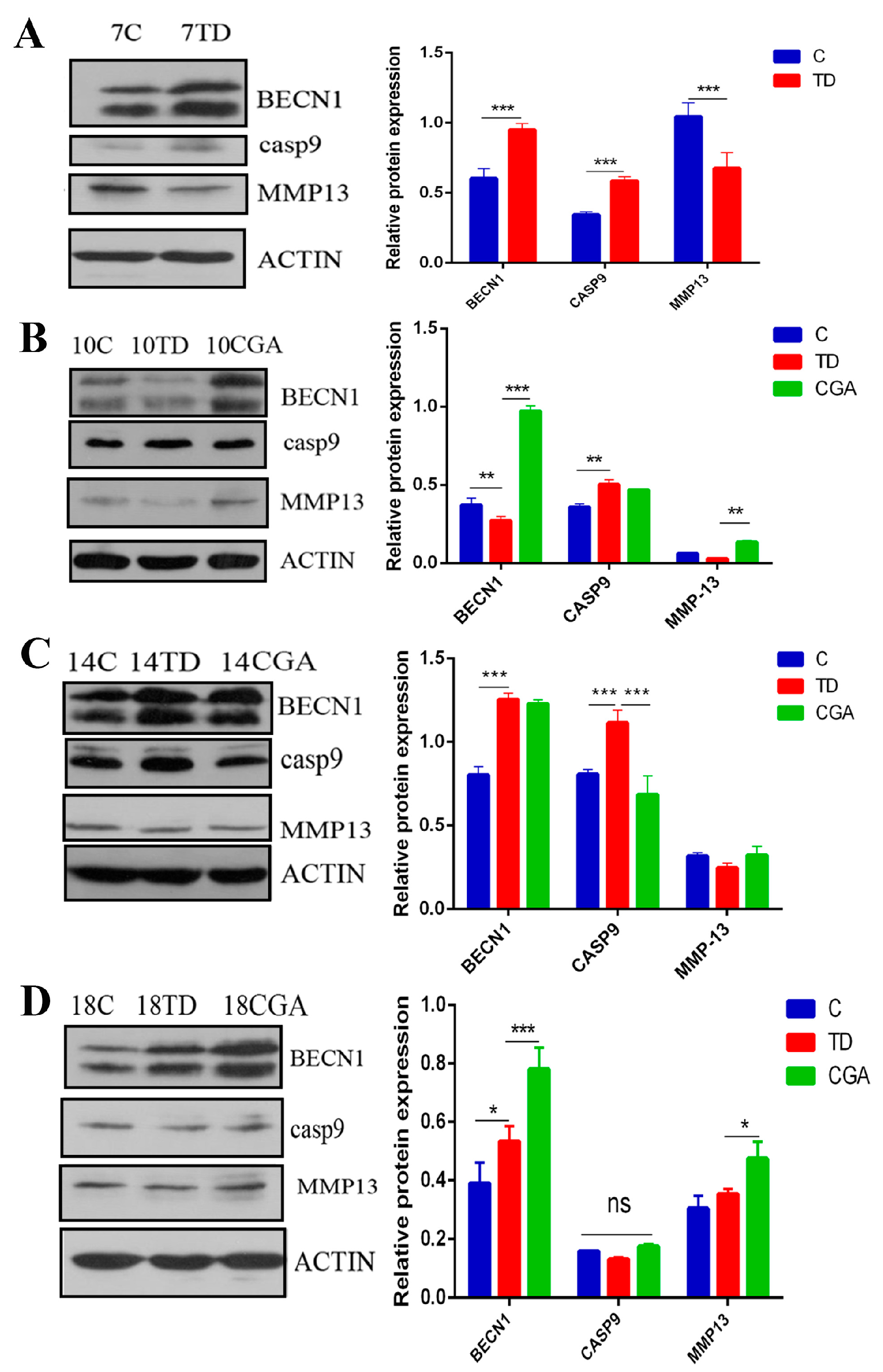 Ijms 20 03160 g008 Ijms 20 03160 g008