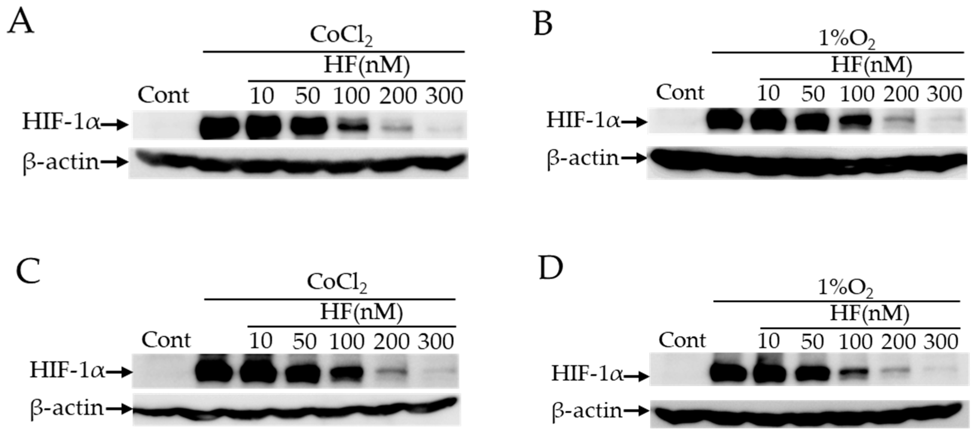 Ijms 20 03171 g002 Ijms 20 03171 g002