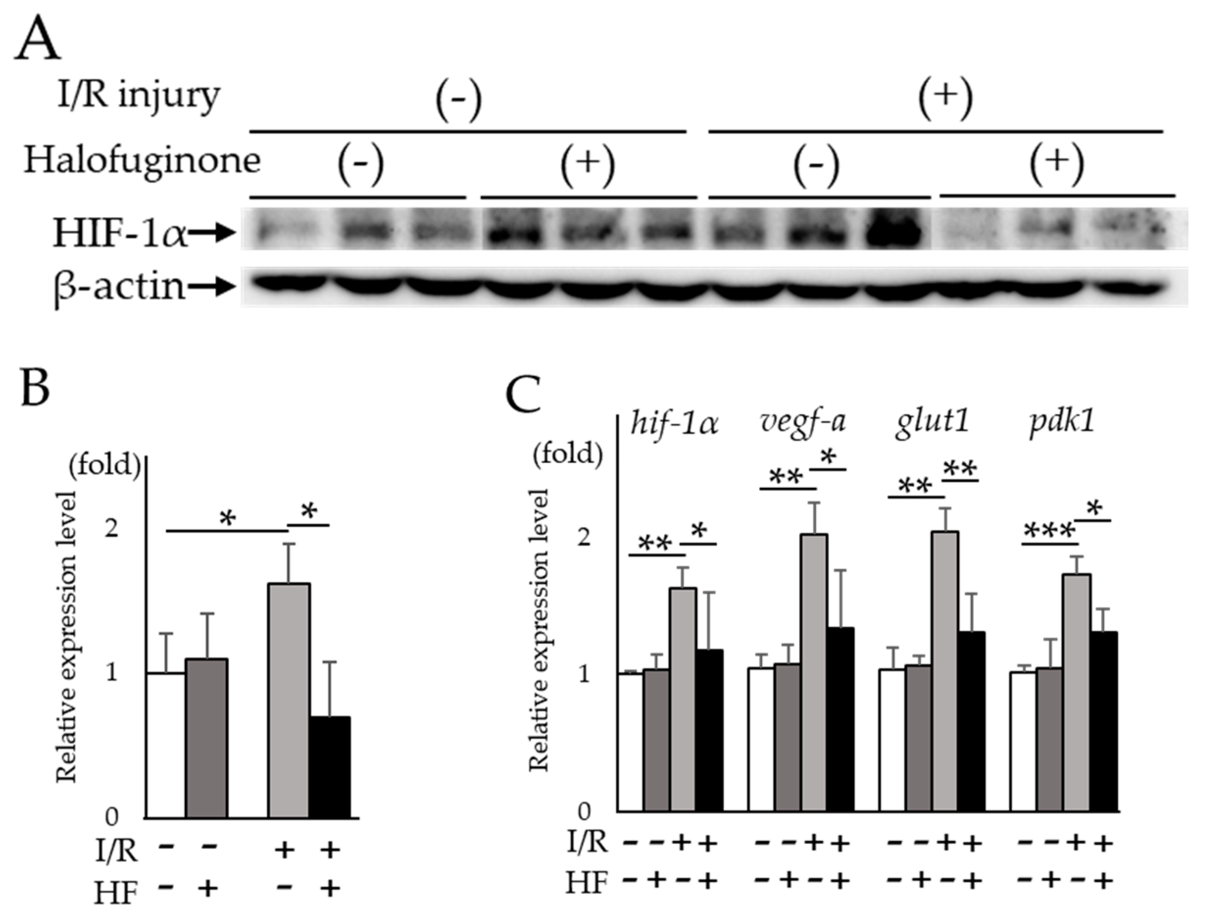Ijms 20 03171 g003 Ijms 20 03171 g003