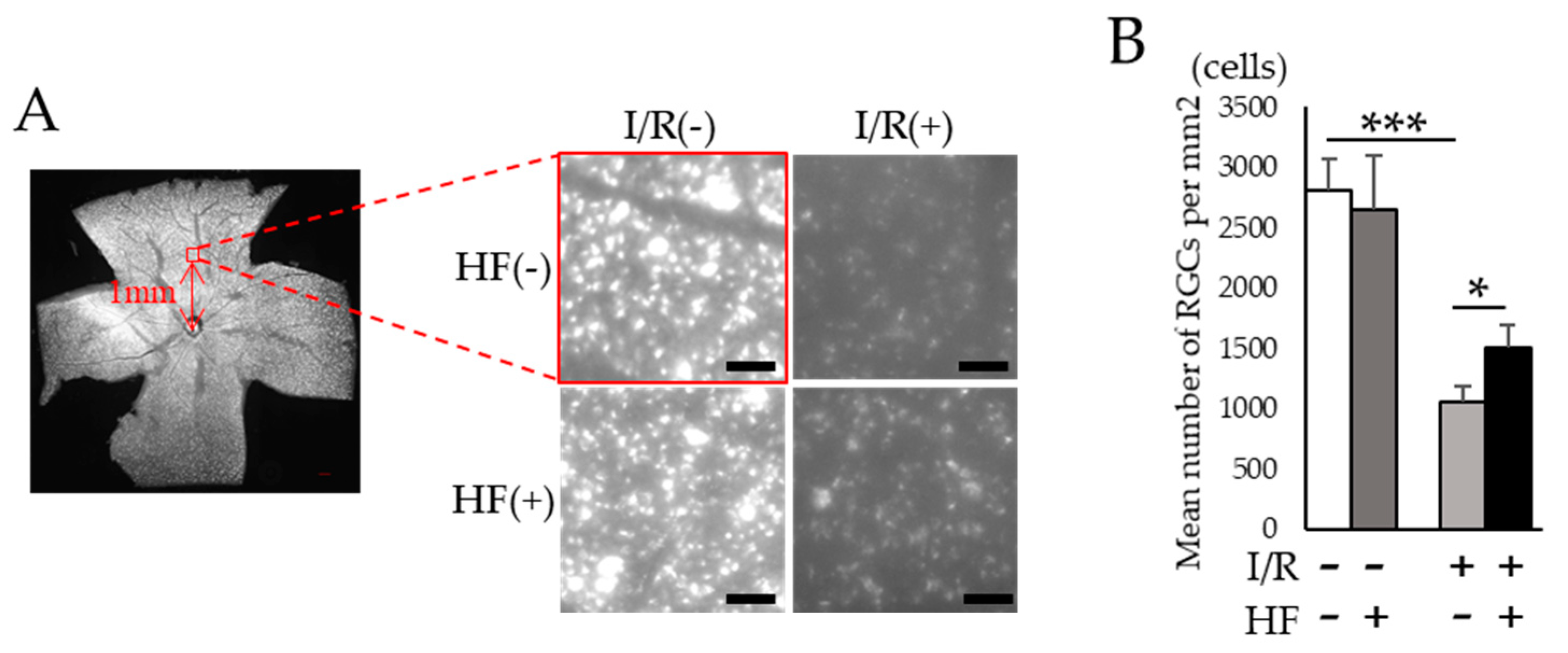 Ijms 20 03171 g005 Ijms 20 03171 g005