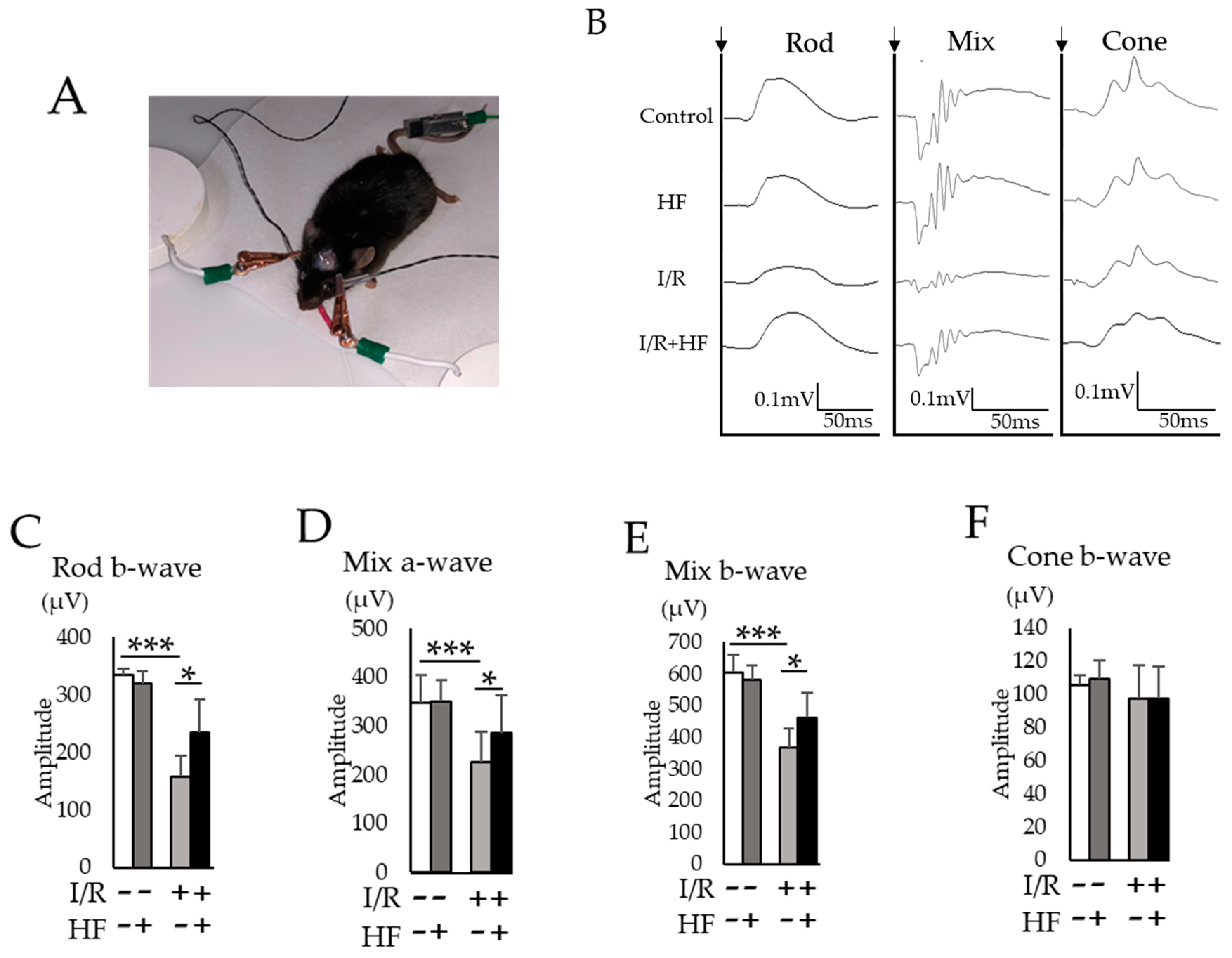 Ijms 20 03171 g006 Ijms 20 03171 g006
