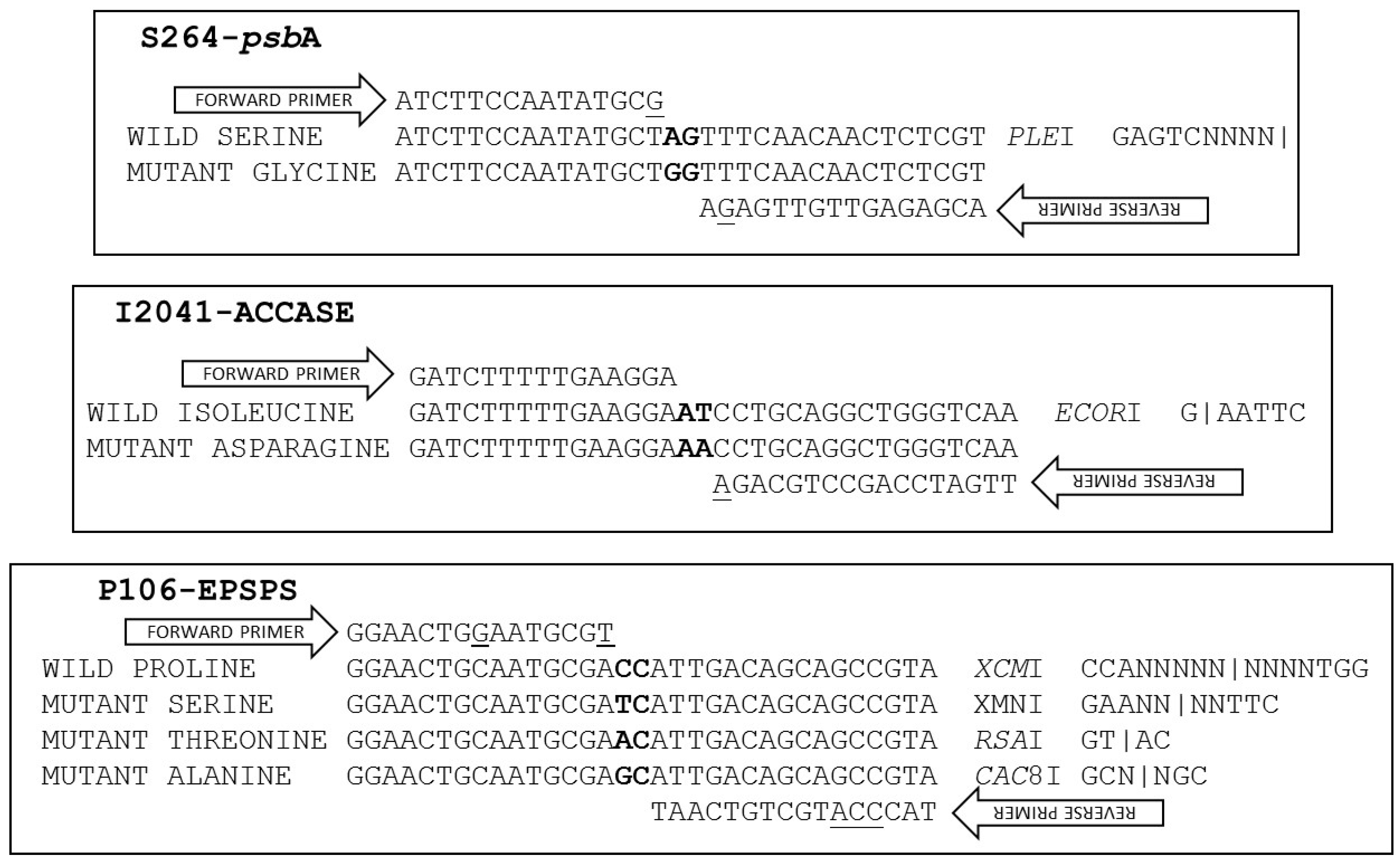 Ijms 20 03193 g001 Ijms 20 03193 g001