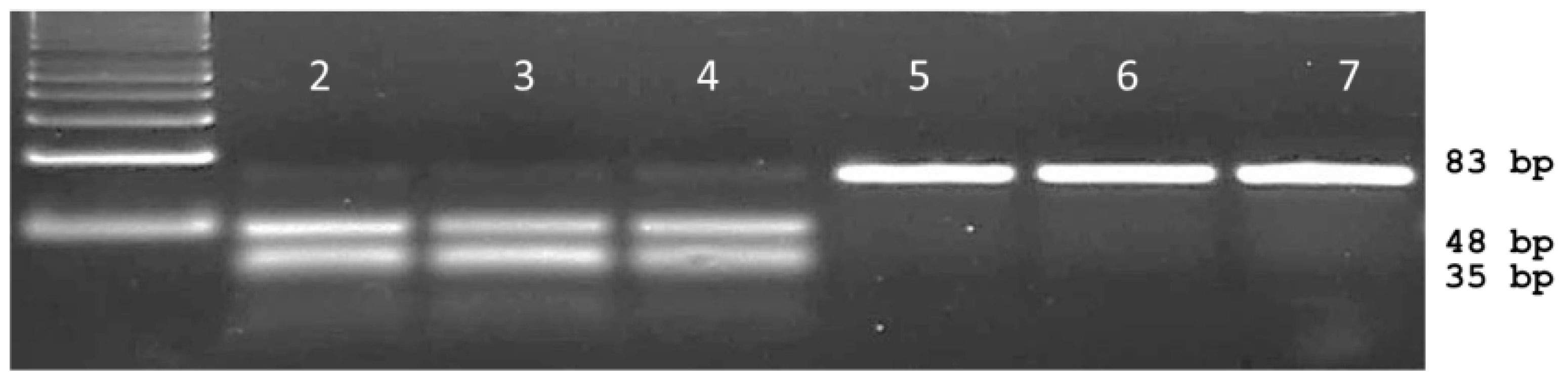 Ijms 20 03193 g002 Ijms 20 03193 g002