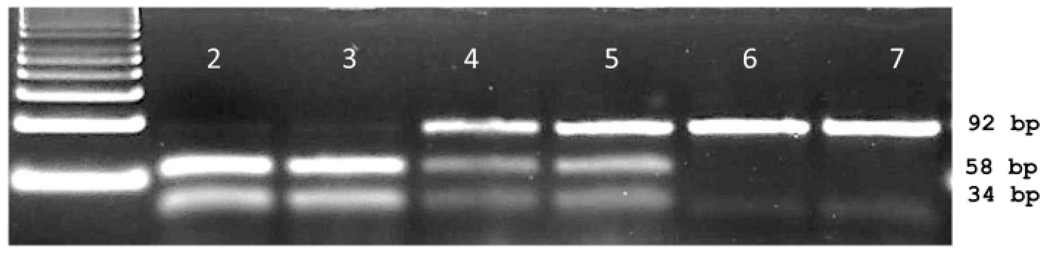 Ijms 20 03193 g003 Ijms 20 03193 g003