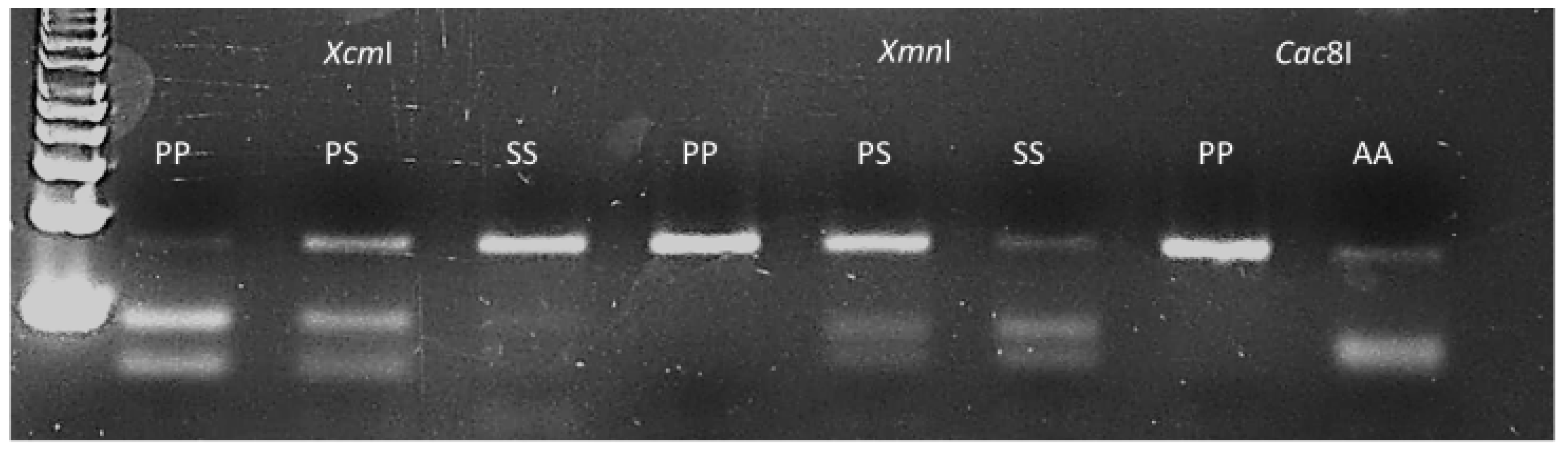 Ijms 20 03193 g004 Ijms 20 03193 g004