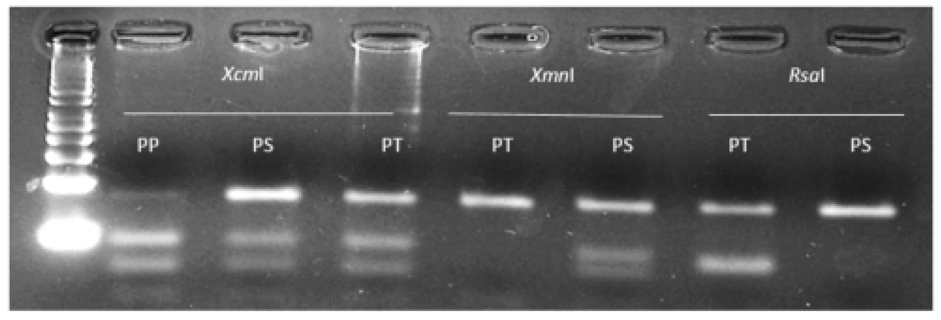 Ijms 20 03193 g005 Ijms 20 03193 g005