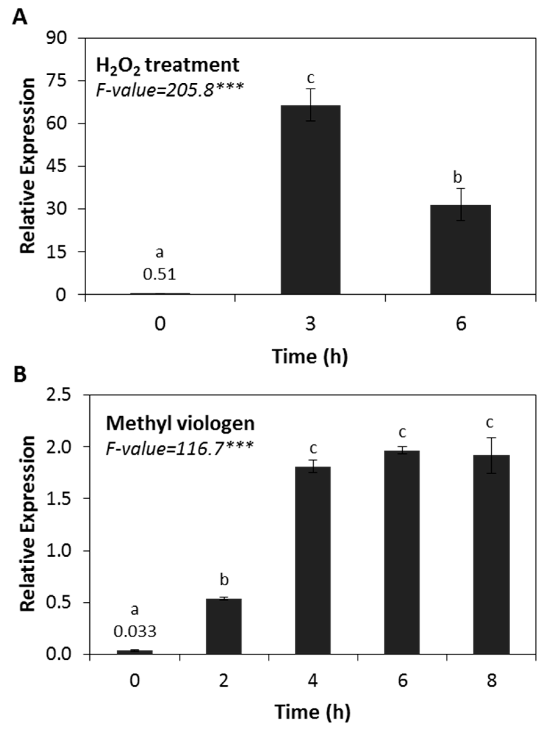 Ijms 20 03201 g004 Ijms 20 03201 g004