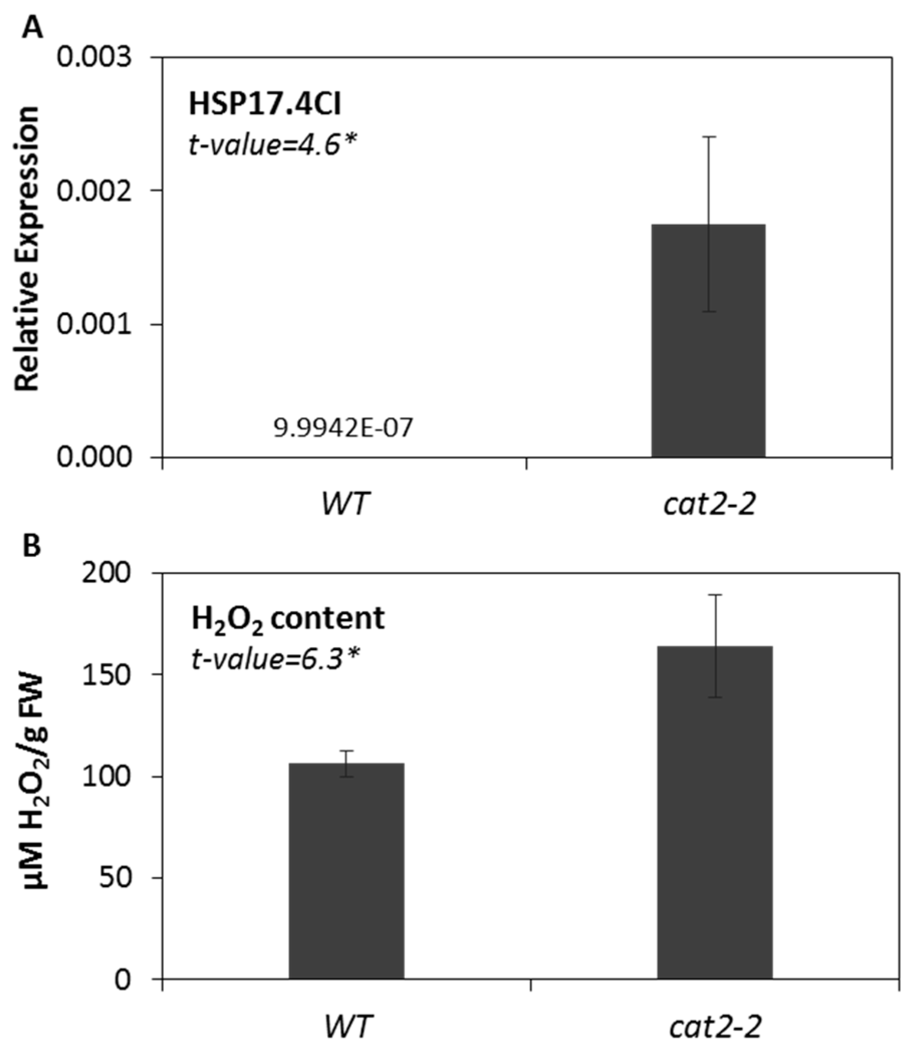 Ijms 20 03201 g005 Ijms 20 03201 g005