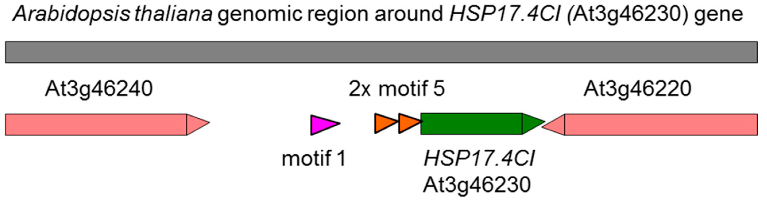 Ijms 20 03201 g006 Ijms 20 03201 g006
