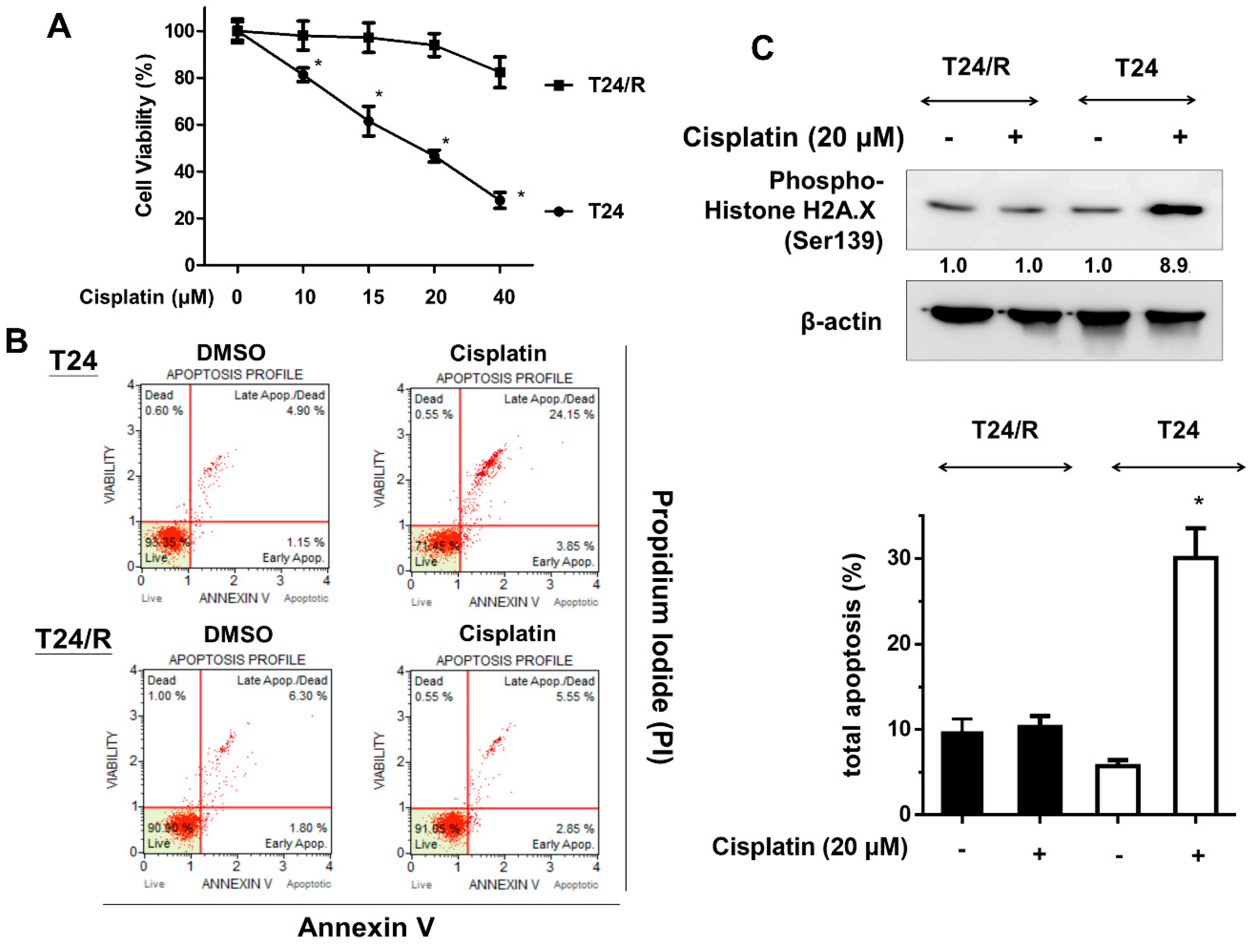 Ijms 20 03218 g001 Ijms 20 03218 g001