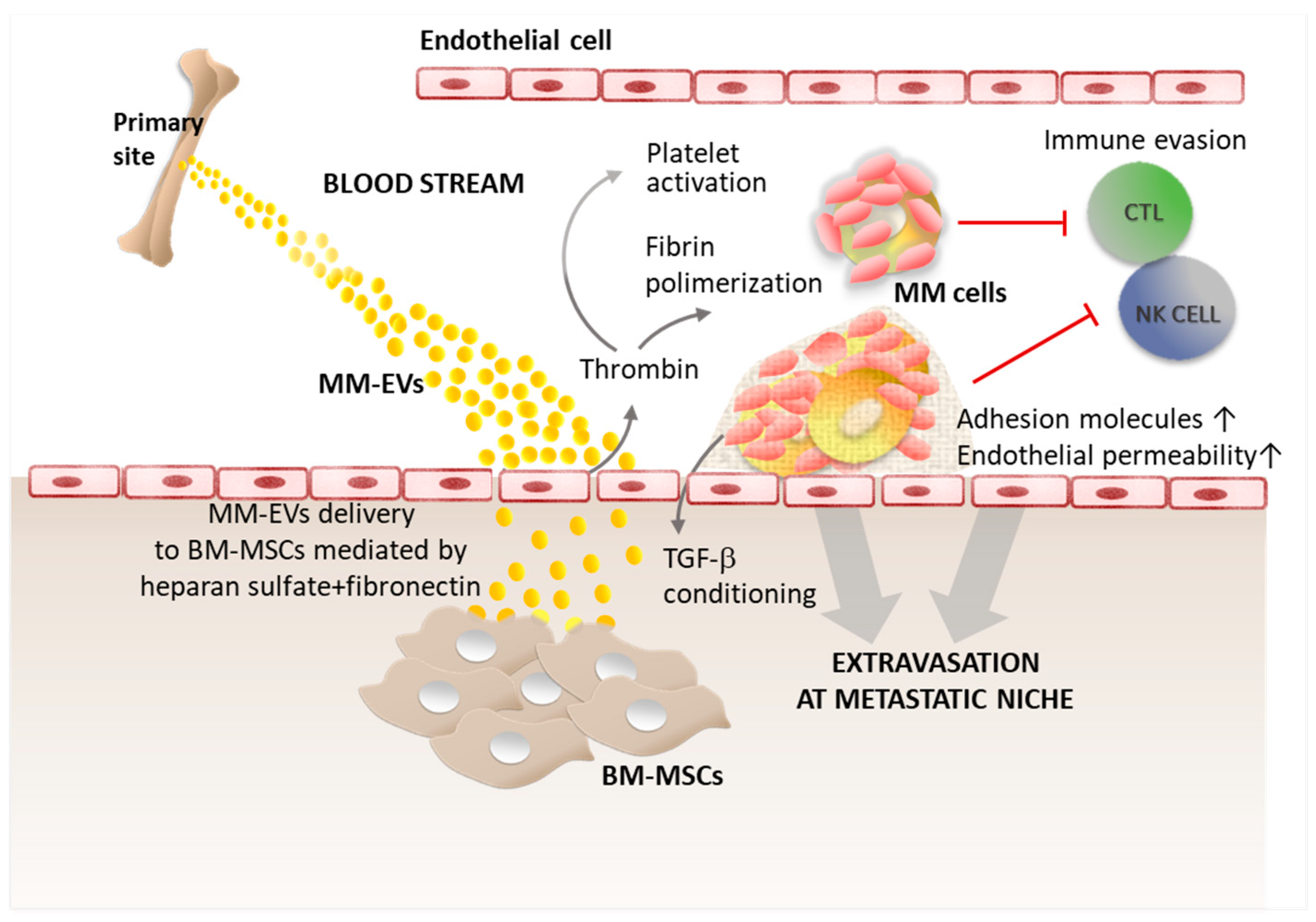 Ijms 20 03236 g001 Ijms 20 03236 g001