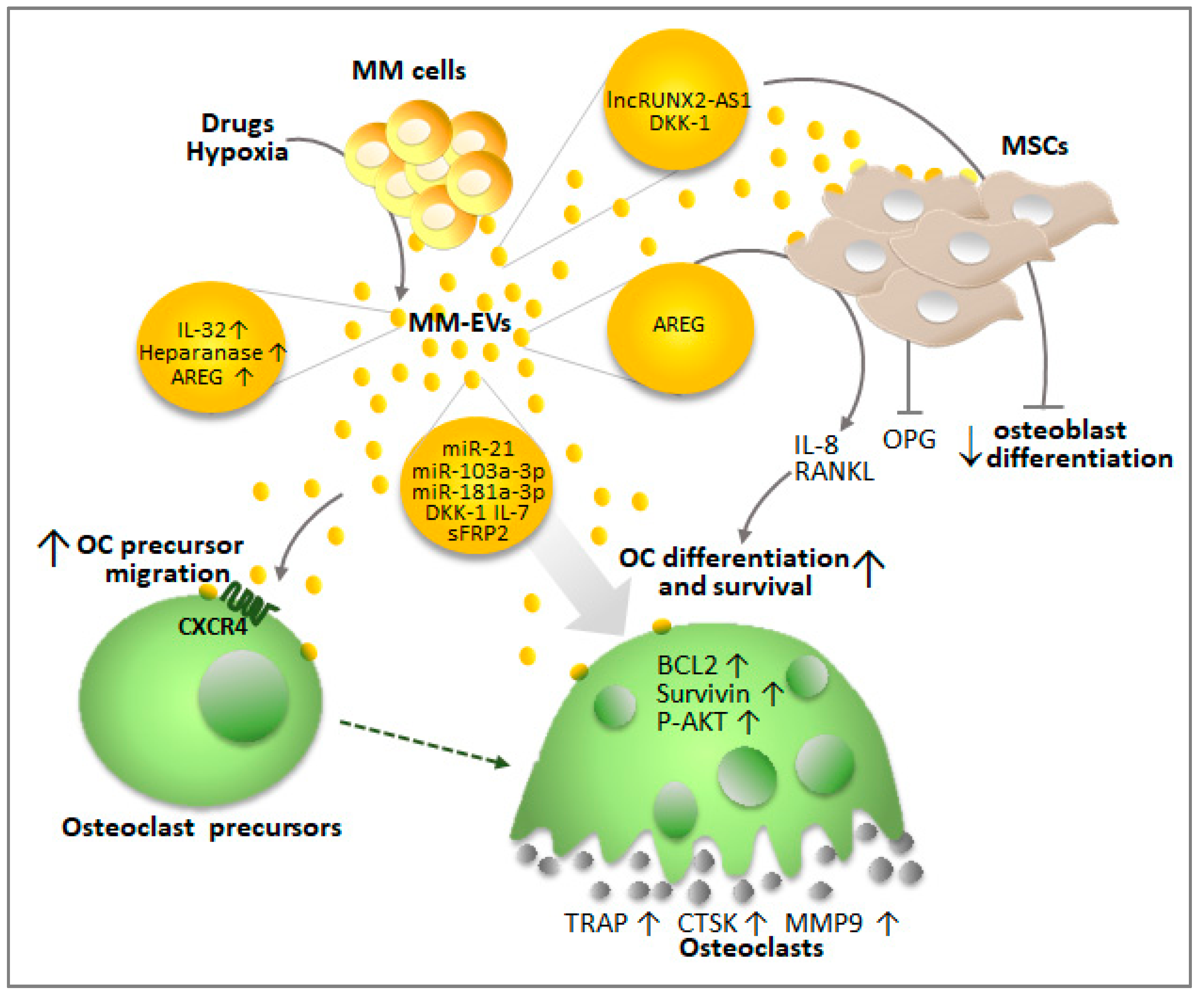 Ijms 20 03236 g003 Ijms 20 03236 g003