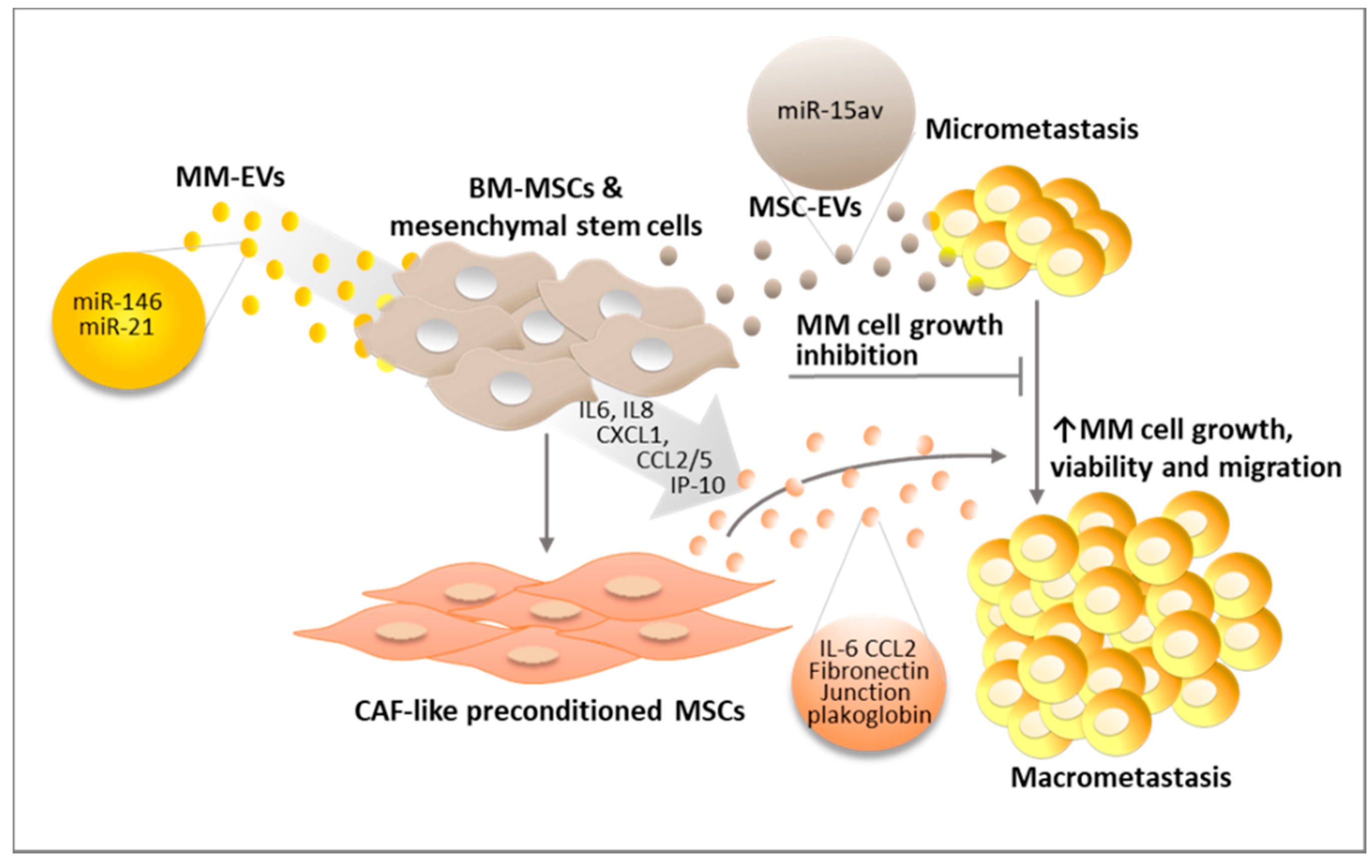 Ijms 20 03236 g004 Ijms 20 03236 g004