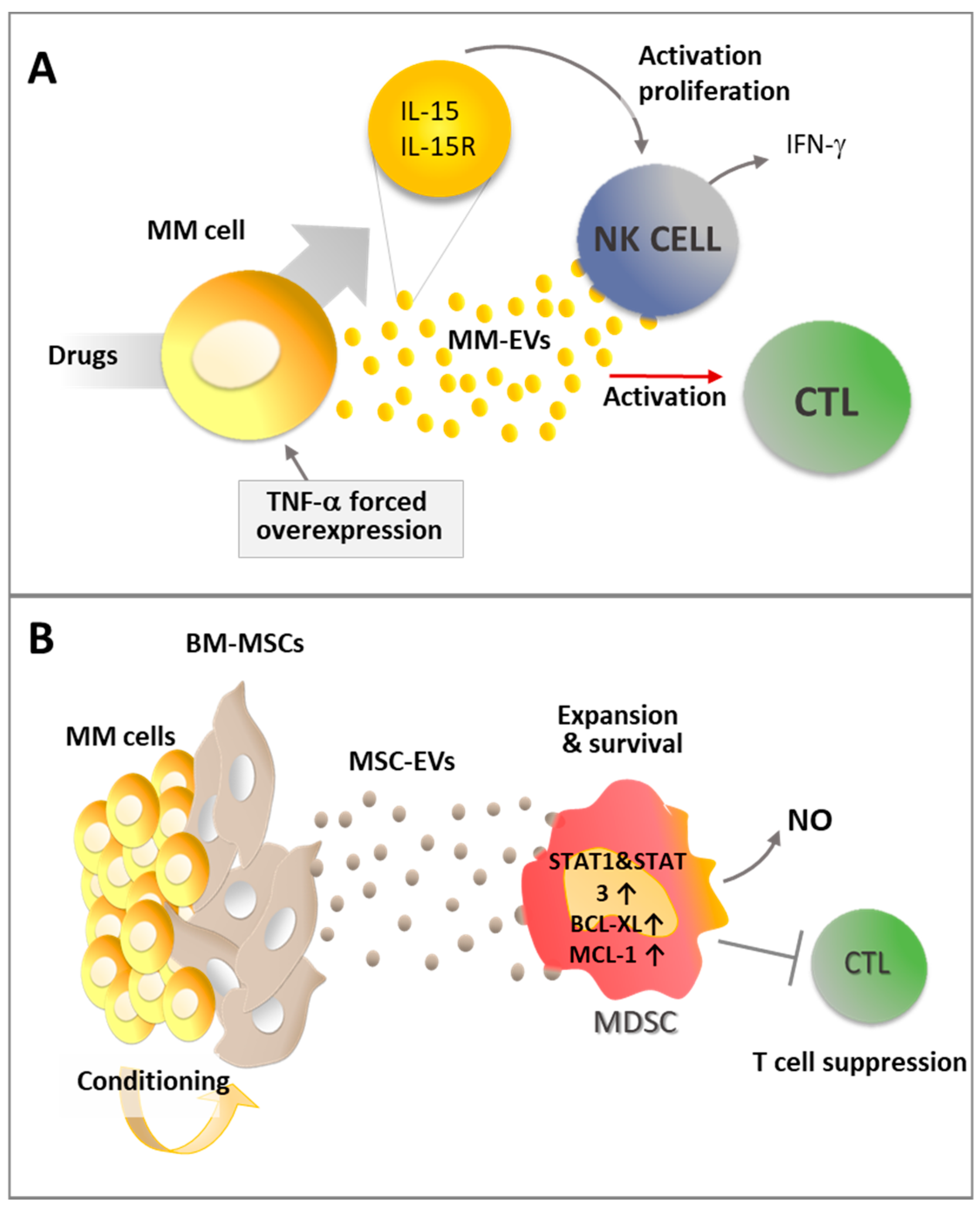 Ijms 20 03236 g005 Ijms 20 03236 g005