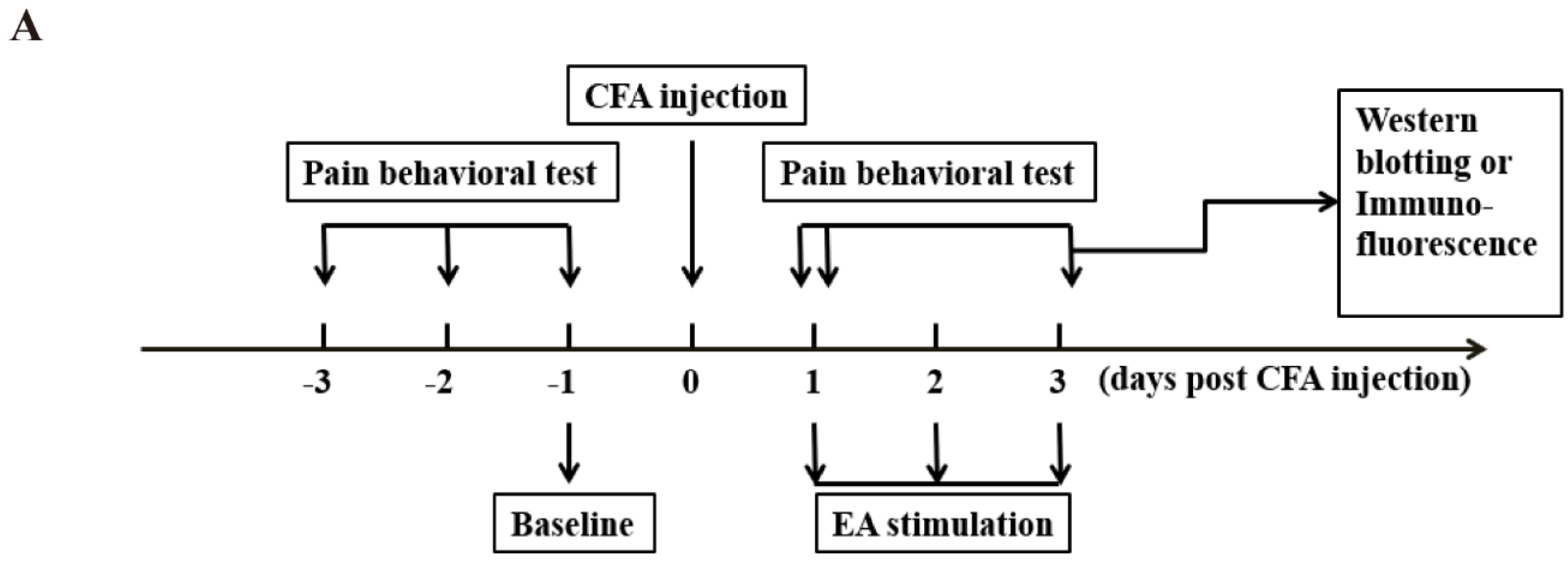 Ijms 20 03248 g001a Ijms 20 03248 g001a