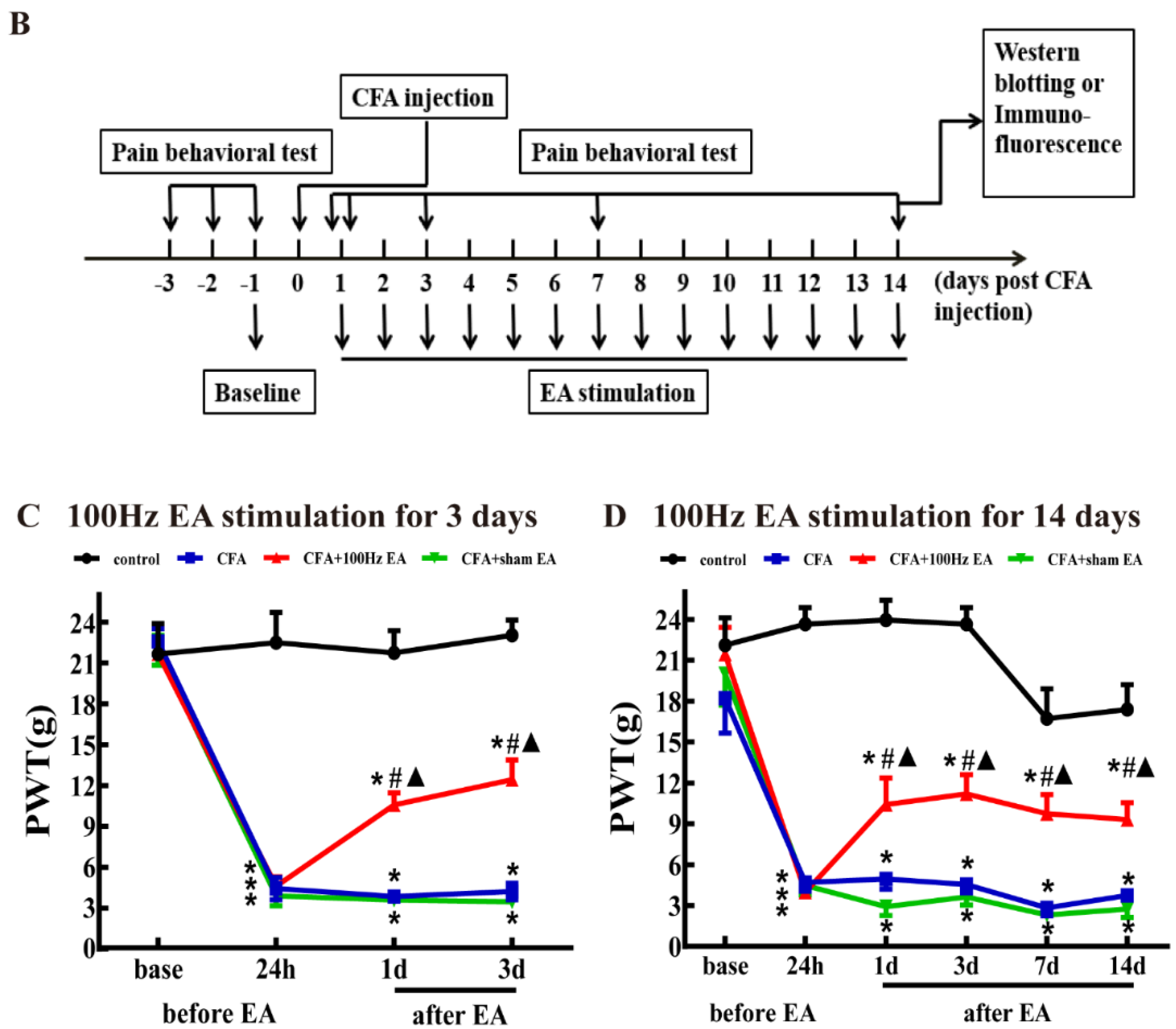 Ijms 20 03248 g001b Ijms 20 03248 g001b