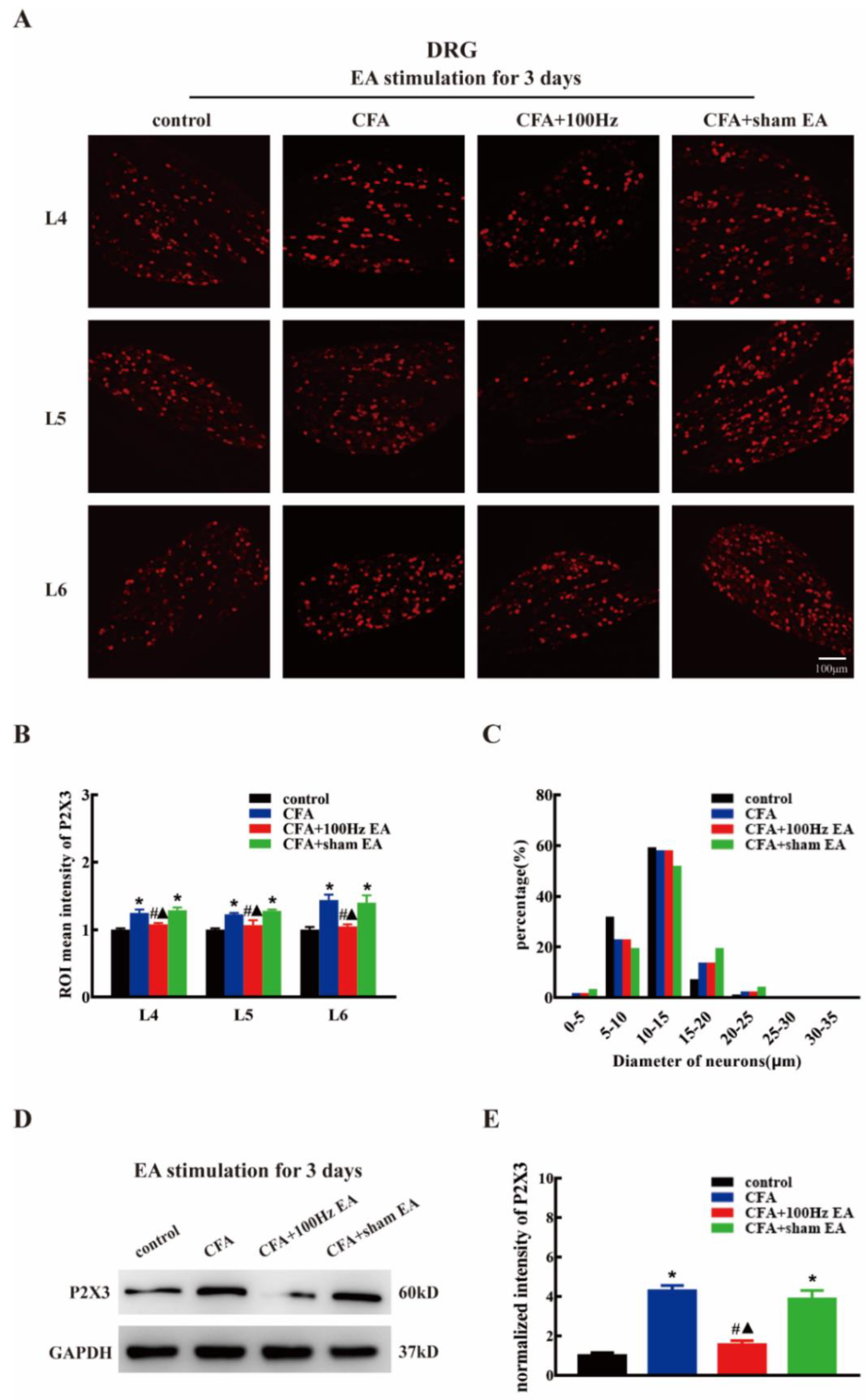 Ijms 20 03248 g002 Ijms 20 03248 g002