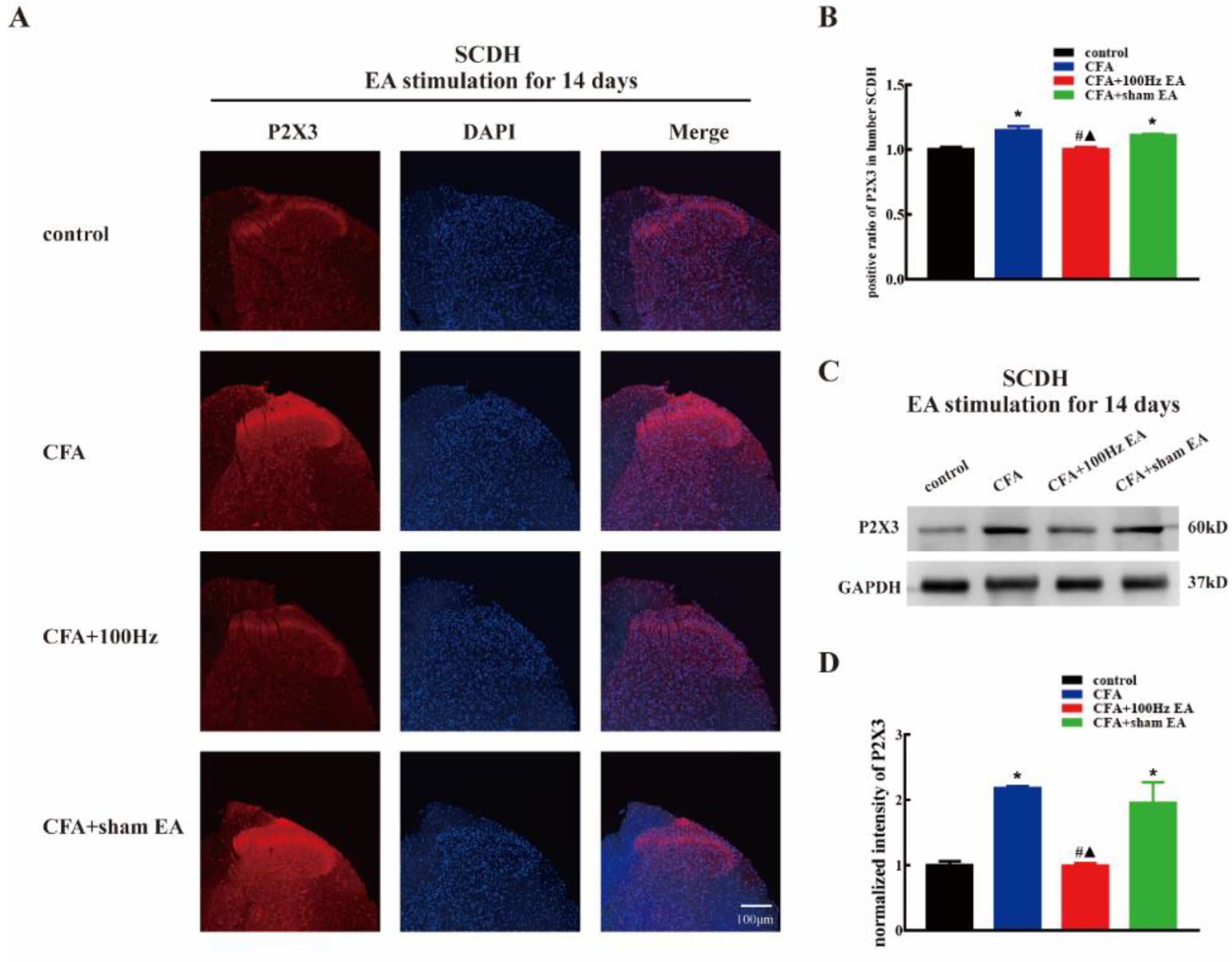 Ijms 20 03248 g005 Ijms 20 03248 g005