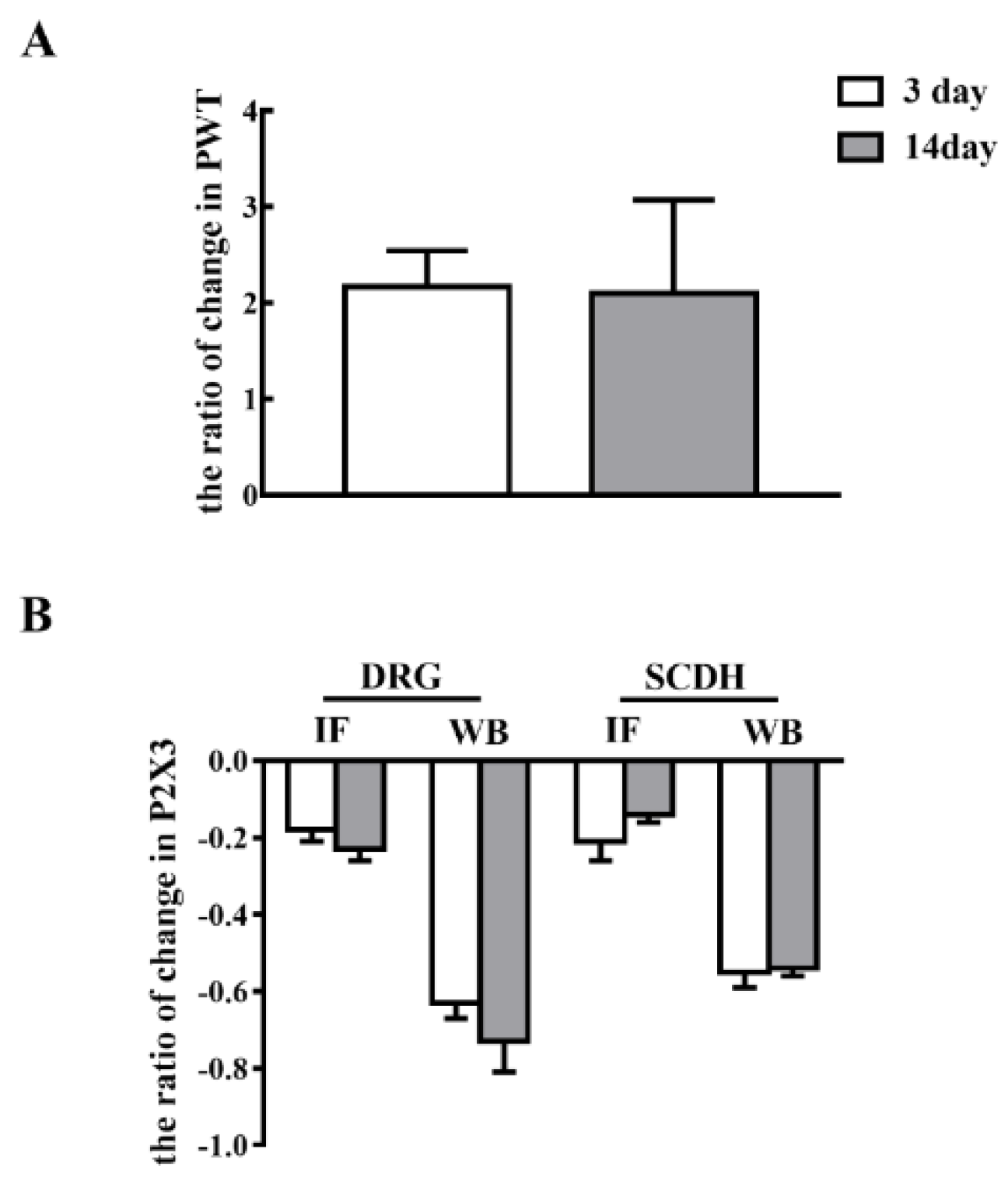 Ijms 20 03248 g006 Ijms 20 03248 g006