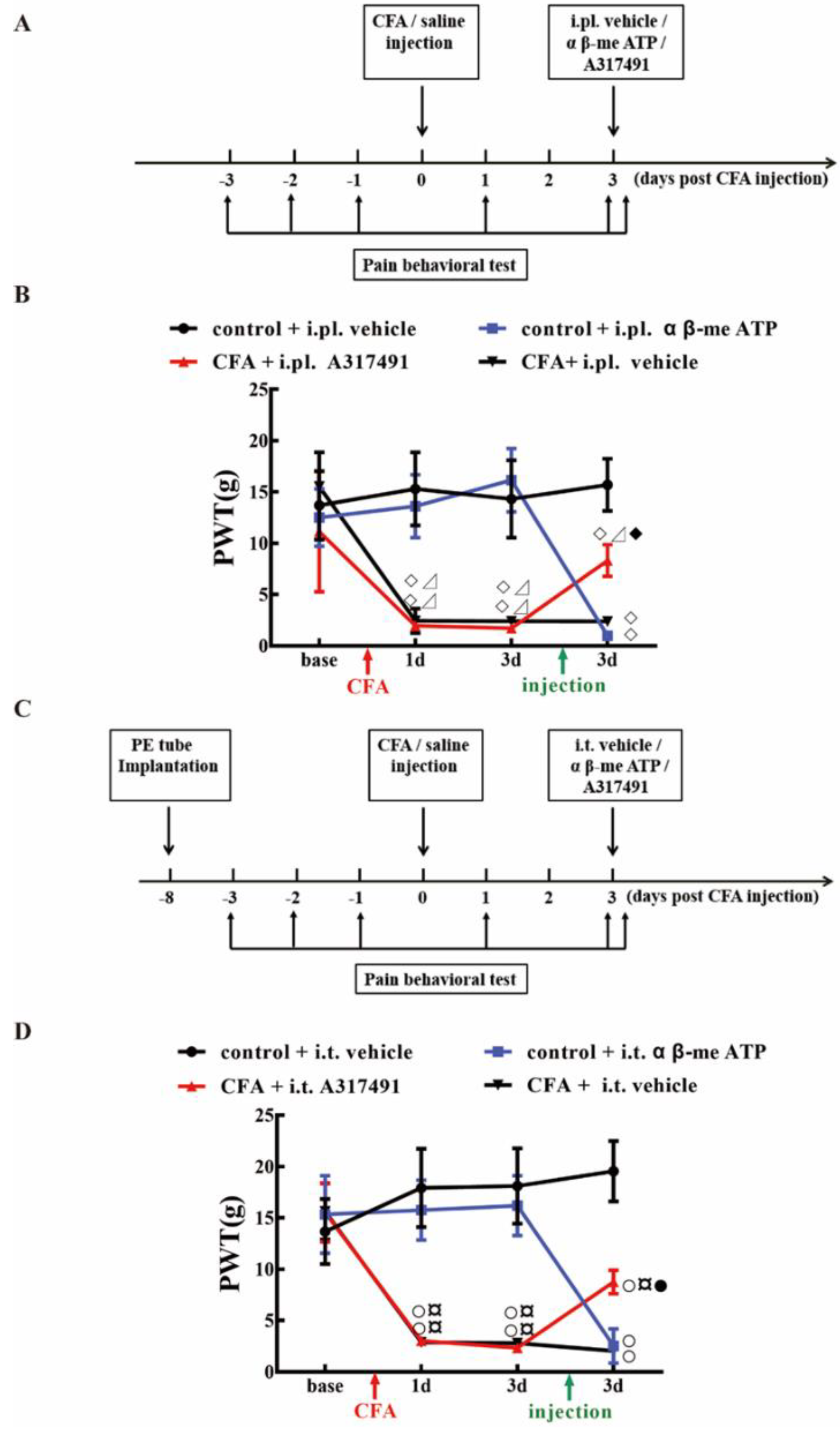 Ijms 20 03248 g007 Ijms 20 03248 g007