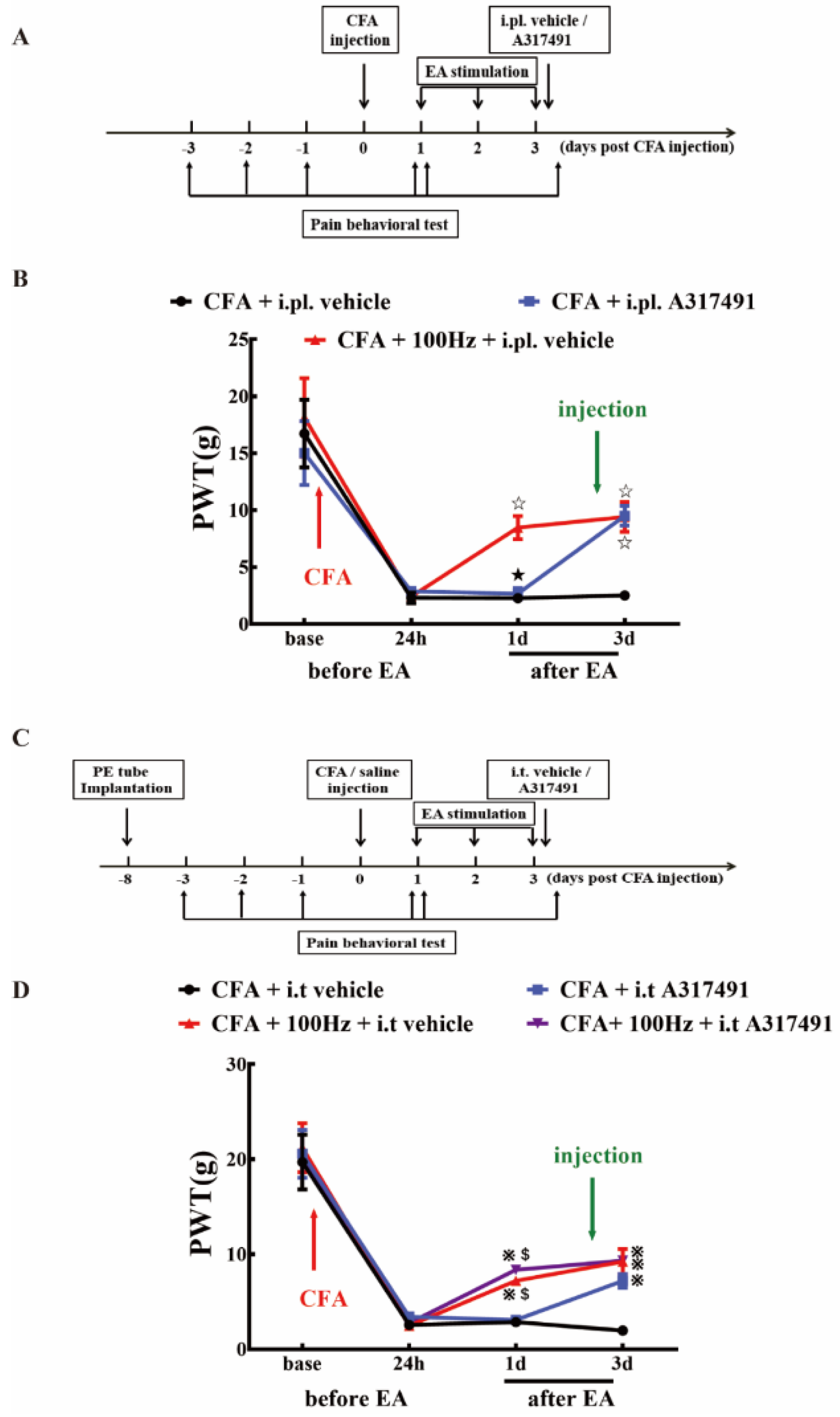 Ijms 20 03248 g008 Ijms 20 03248 g008