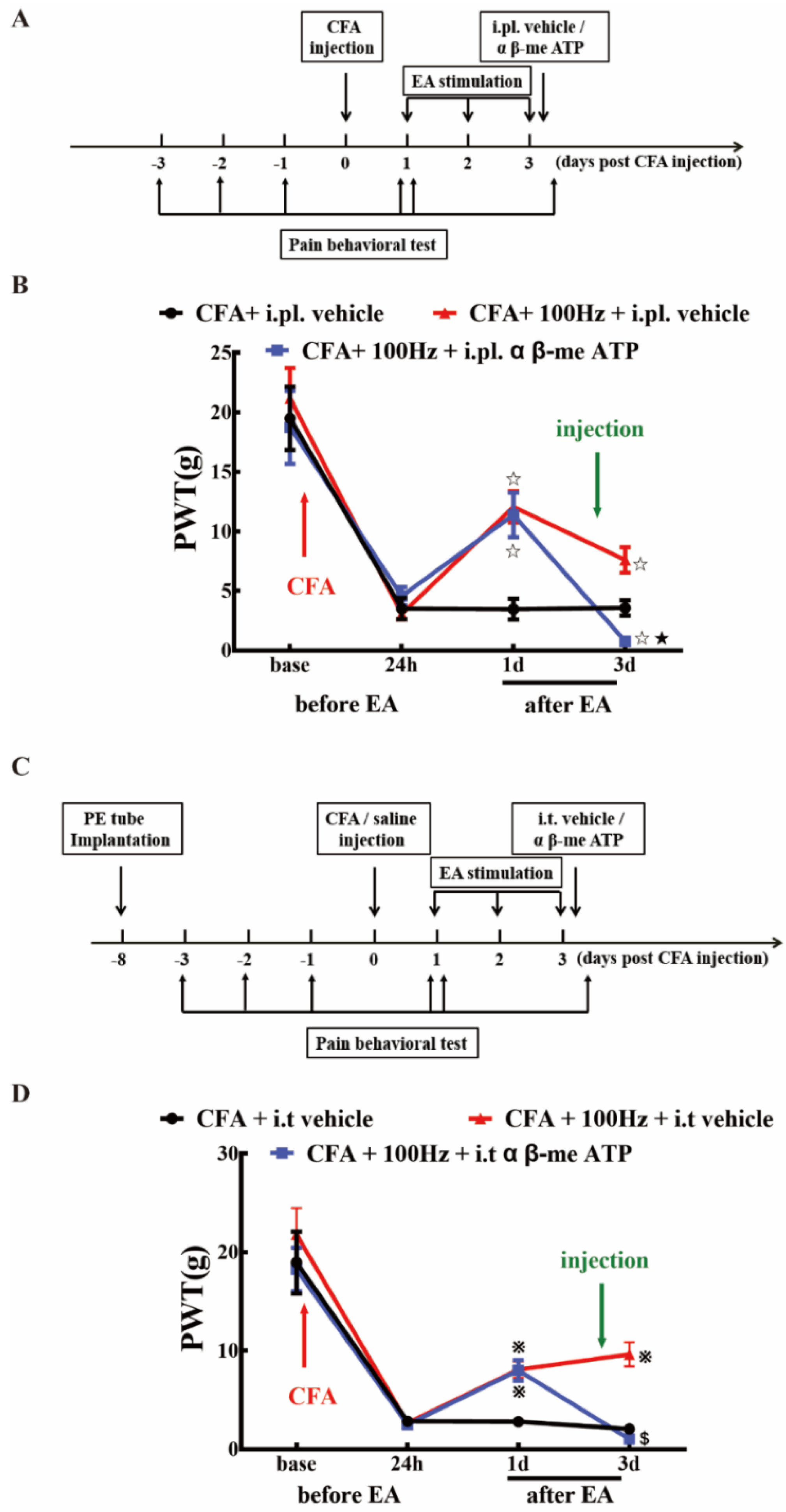 Ijms 20 03248 g009 Ijms 20 03248 g009