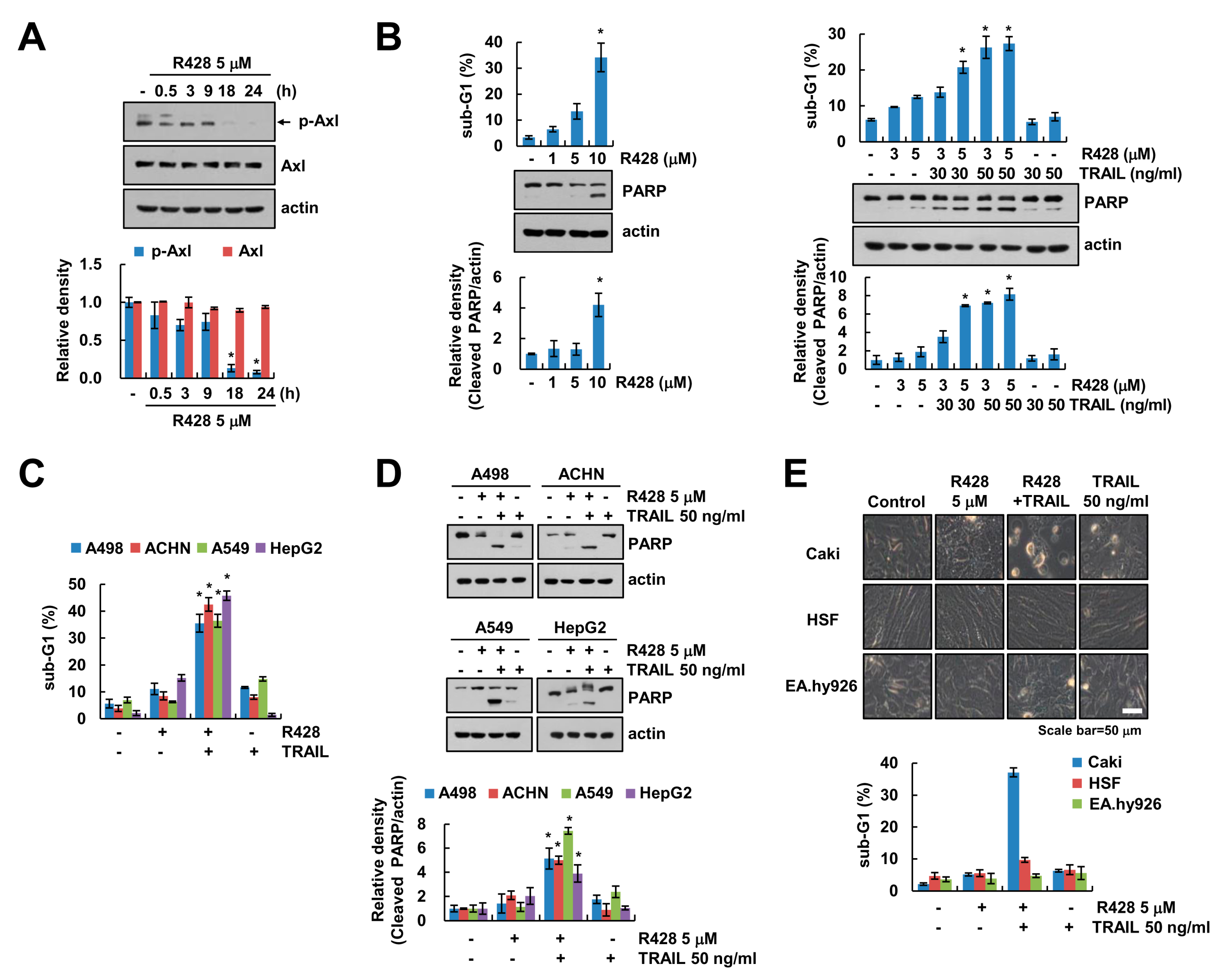 Ijms 20 03253 g001 Ijms 20 03253 g001