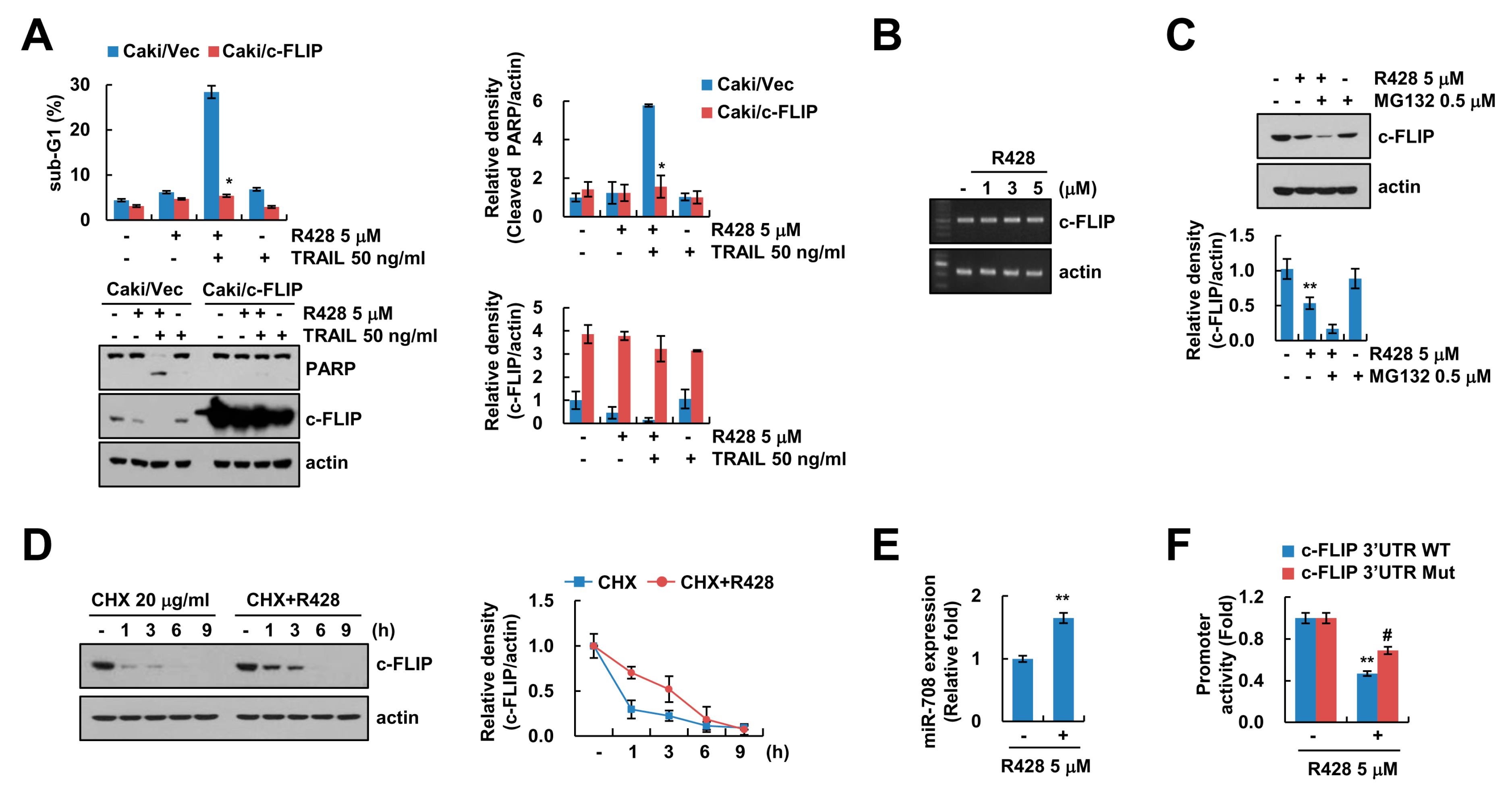 Ijms 20 03253 g003 Ijms 20 03253 g003