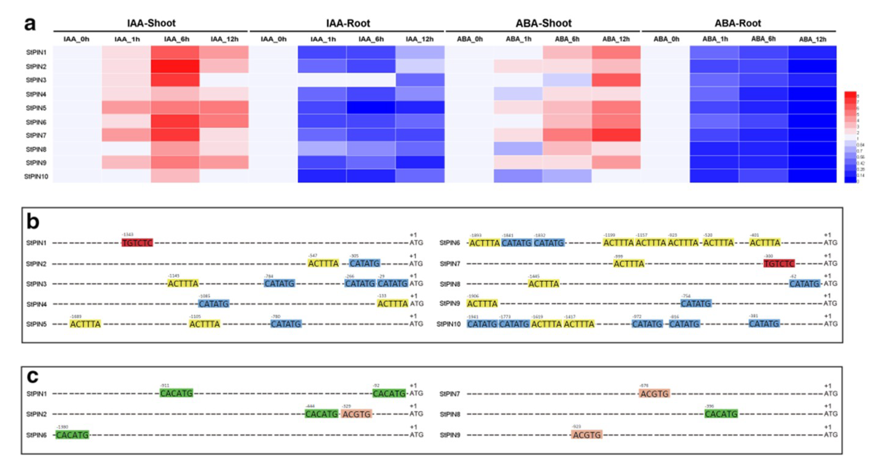 Ijms 20 03270 g005 Ijms 20 03270 g005