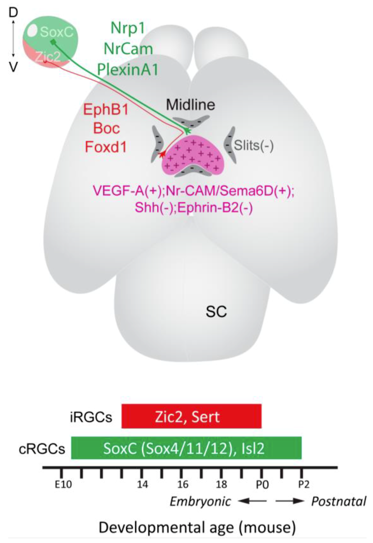 Ijms 20 03282 g002 Ijms 20 03282 g002