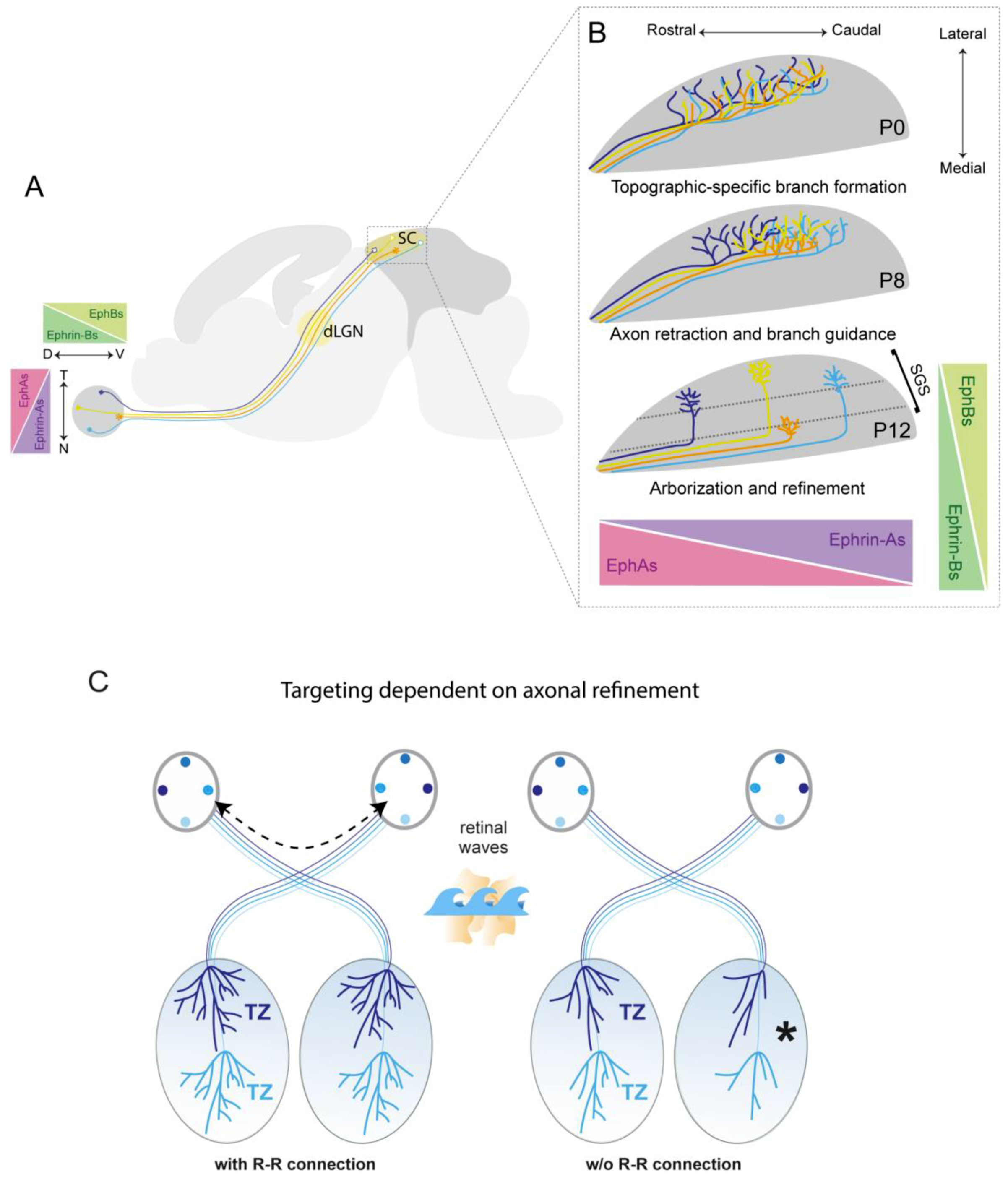 Ijms 20 03282 g003 Ijms 20 03282 g003