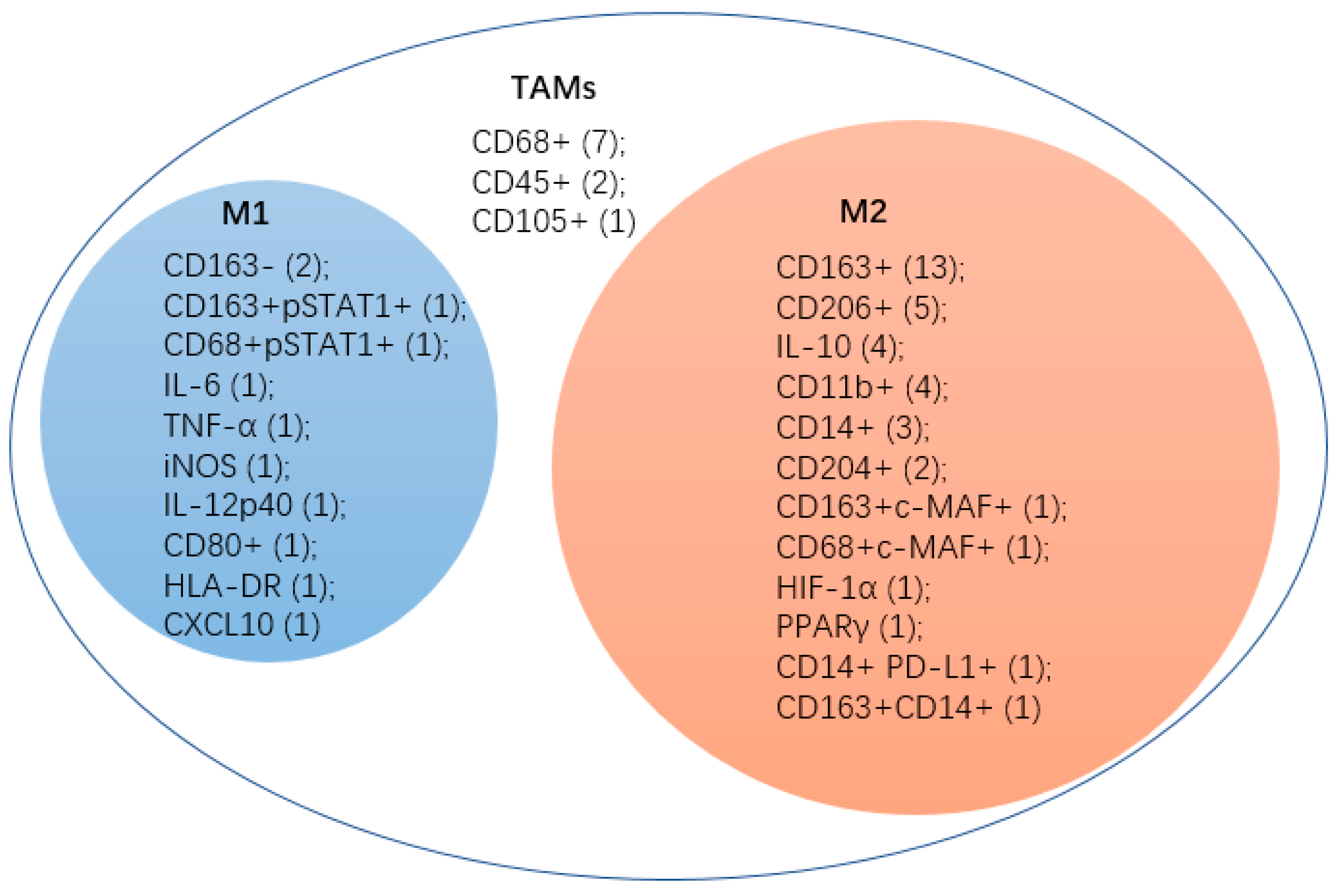 Ijms 20 03310 g002