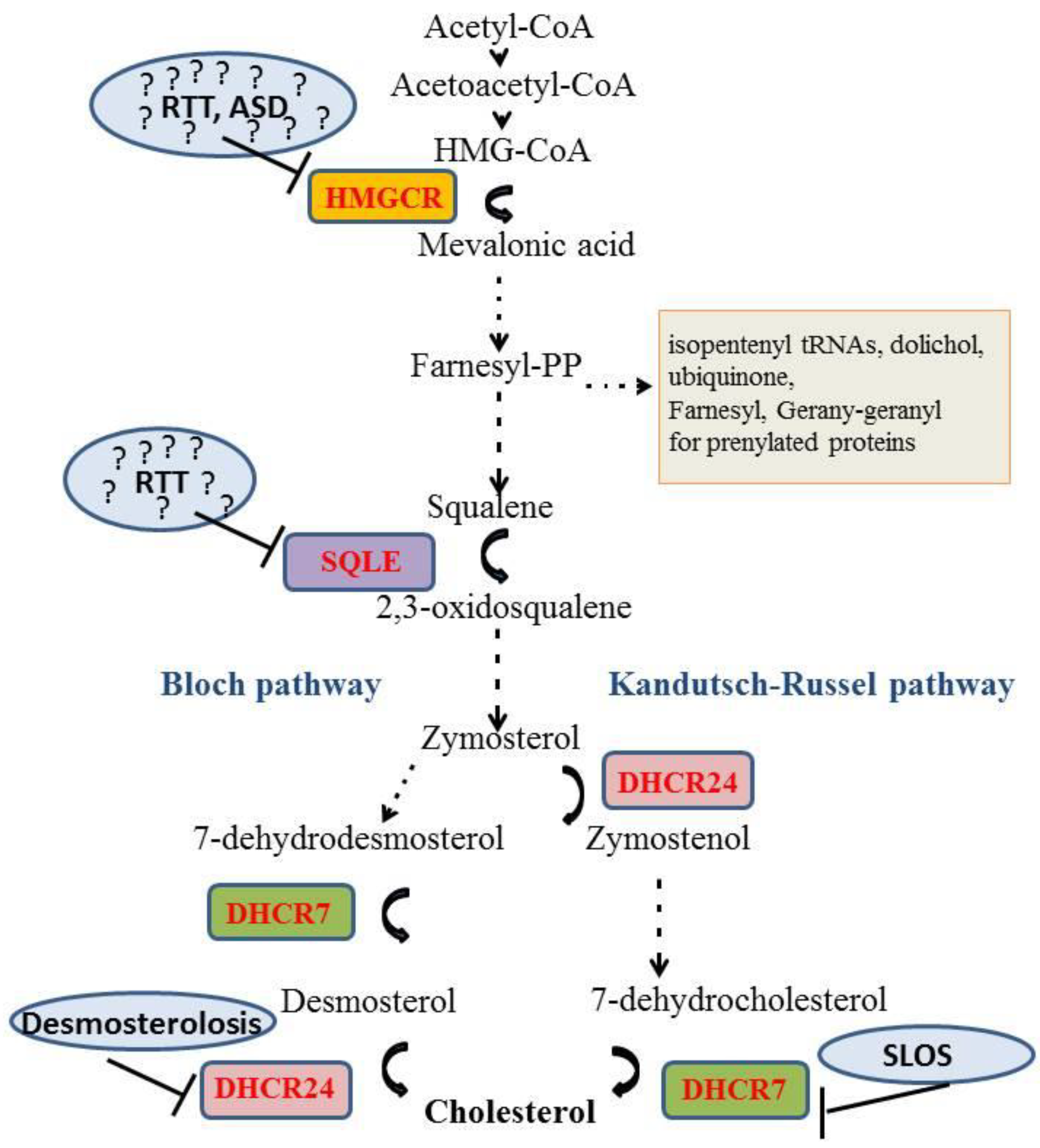 Ijms 20 03317 g001