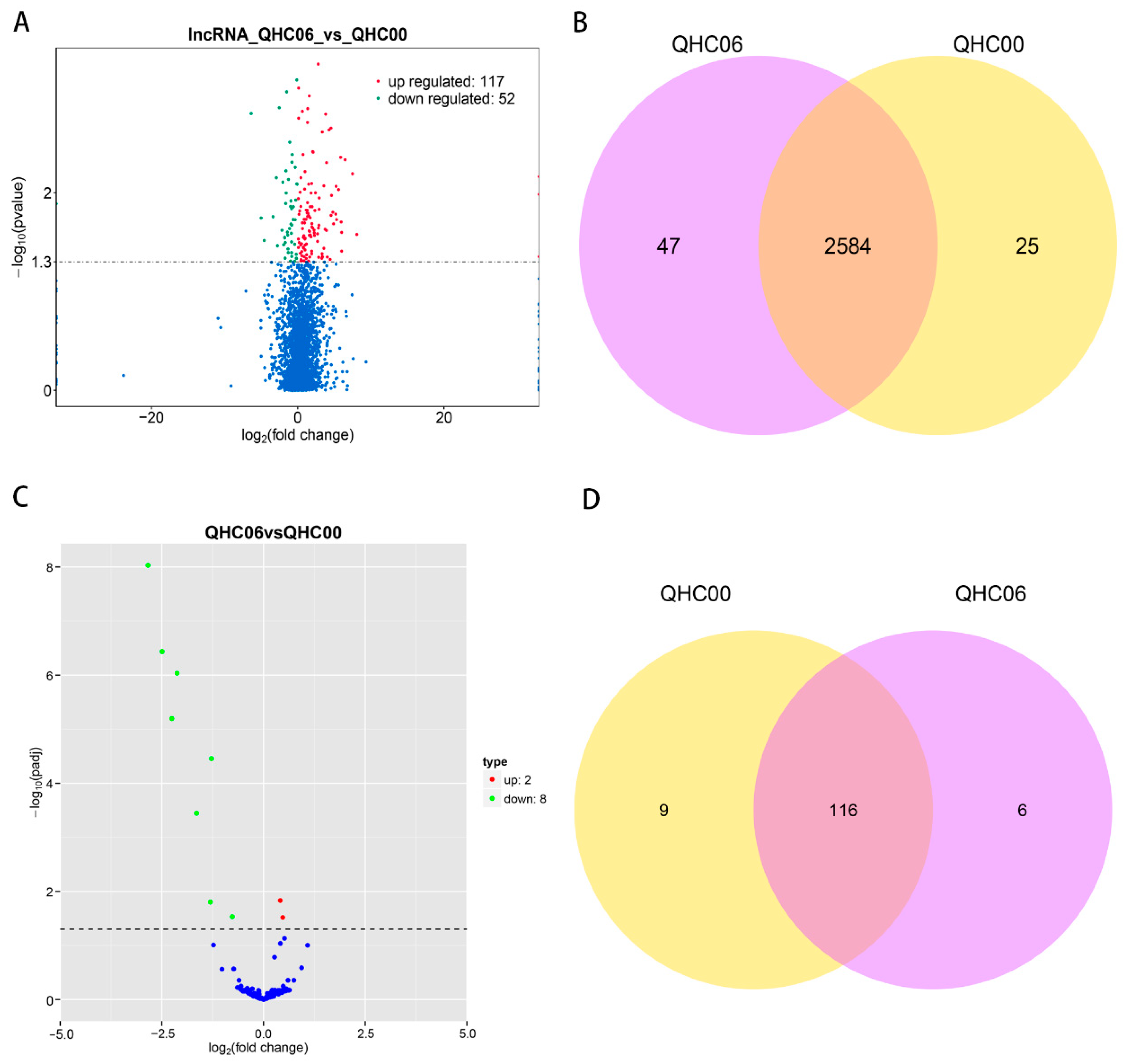 Ijms 20 03321 g009 Ijms 20 03321 g009