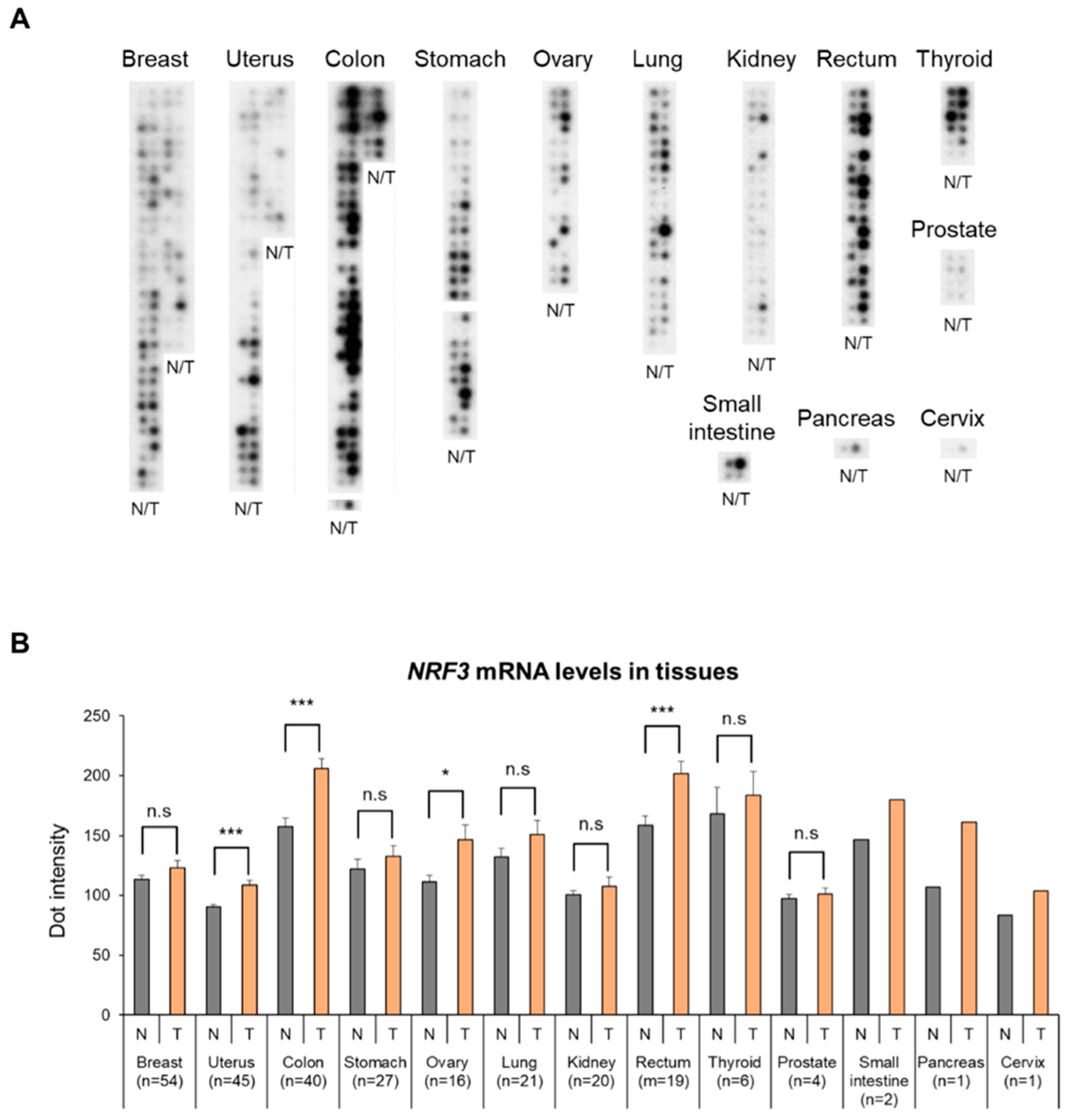 Ijms 20 03344 g001 Ijms 20 03344 g001